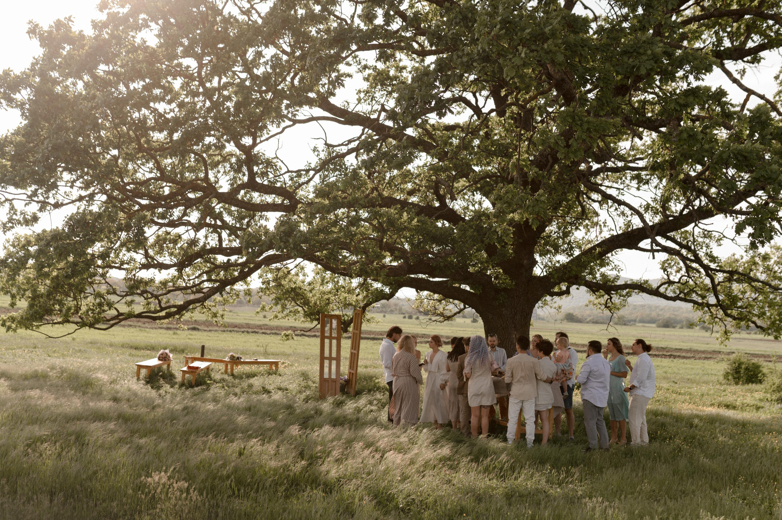 Ksusha and Andrei, Salty Garden. Wedding photographer in Georgia, Tbilisi Arina Krasnikova