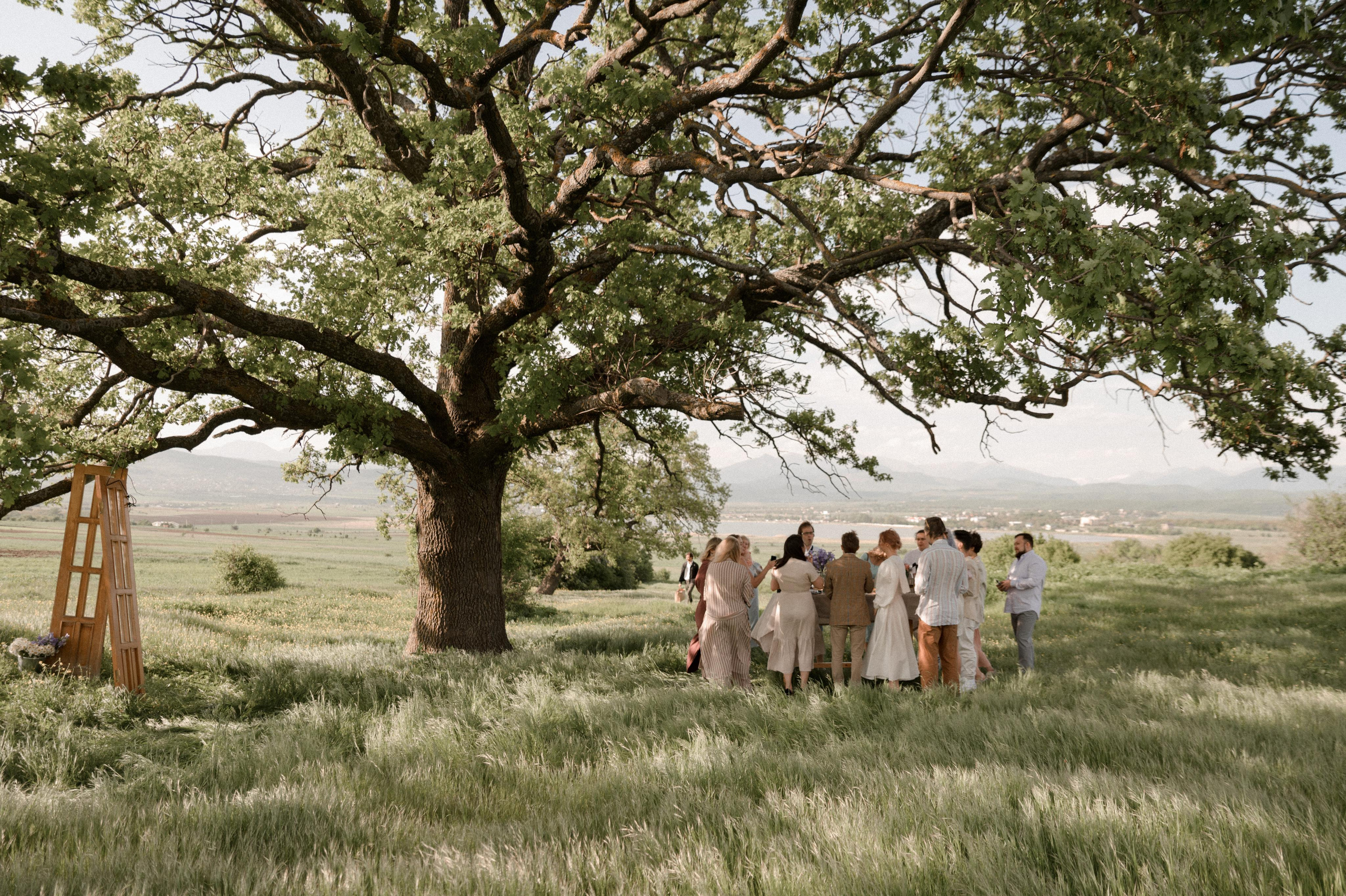 Ksusha and Andrei, Salty Garden. Wedding photographer in Georgia, Tbilisi Arina Krasnikova