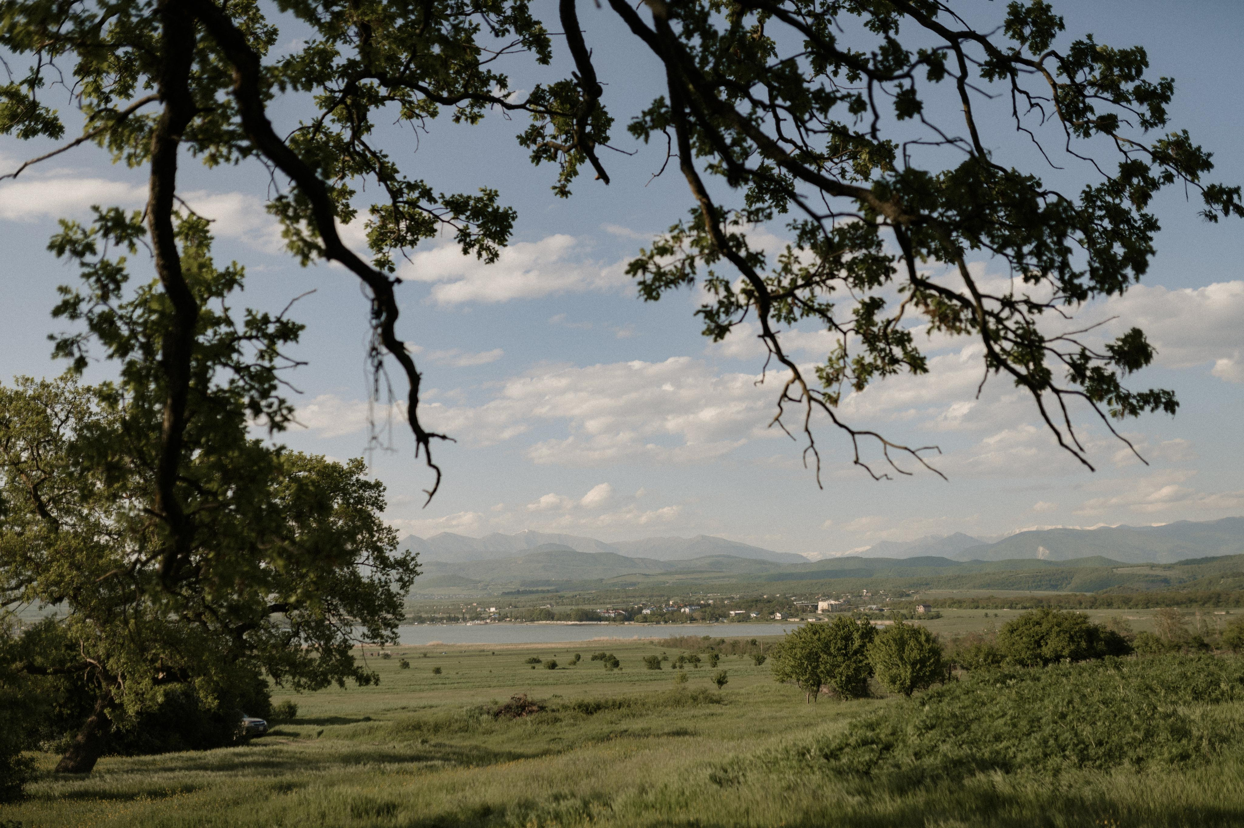 Ksusha and Andrei, Salty Garden. Wedding photographer in Georgia, Tbilisi Arina Krasnikova