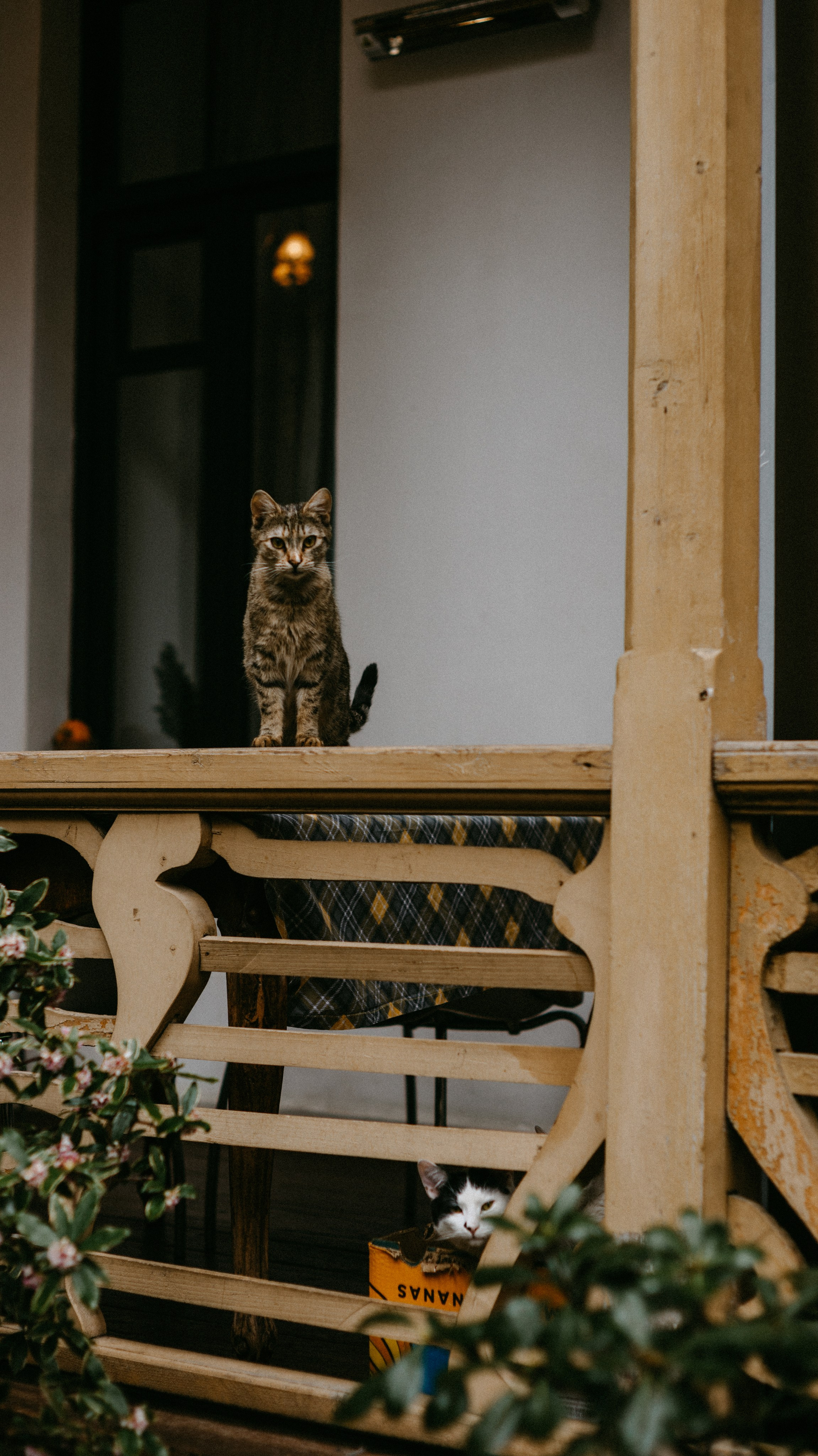 Presets. Mari tbilisi photographer Tbilisi Georgia