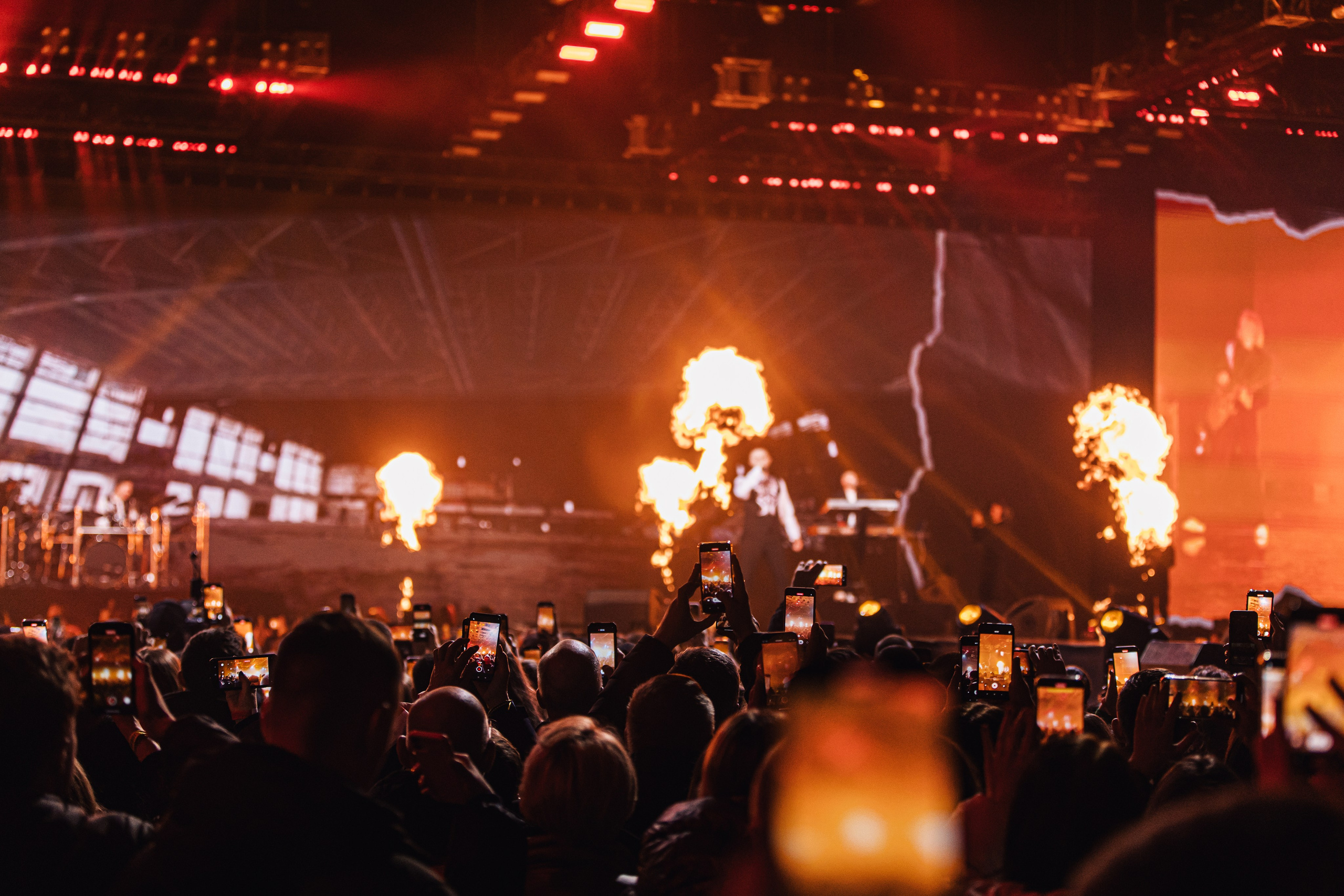 Antytila. Репортажний фотограф/анімаліст КИЇВ