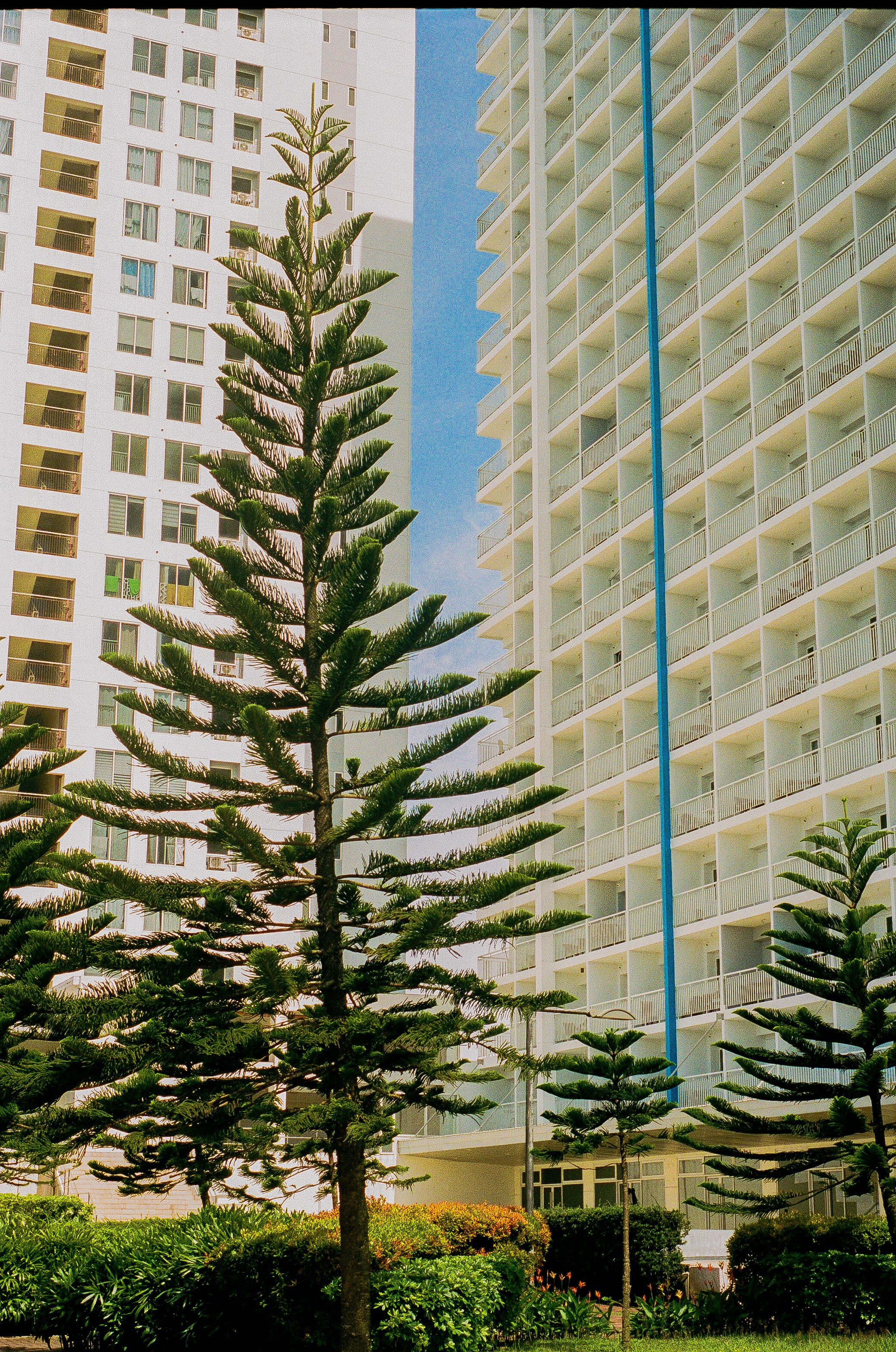 Film Photography. Interior & Architectural Photographer Philippines | Argen Carlo Camaclang