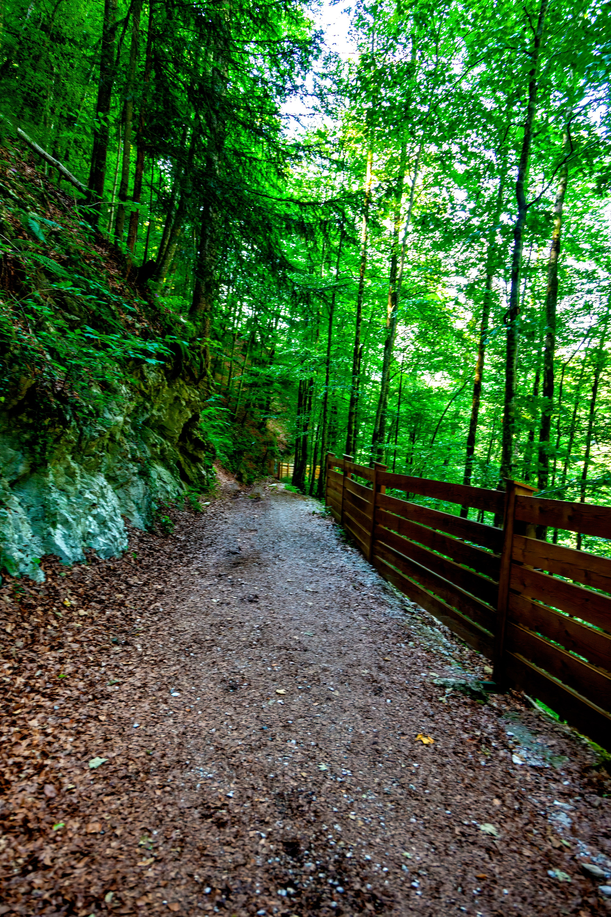 195.Nothklamm.Austria.20.8.2025. Путешествия в формате 360......