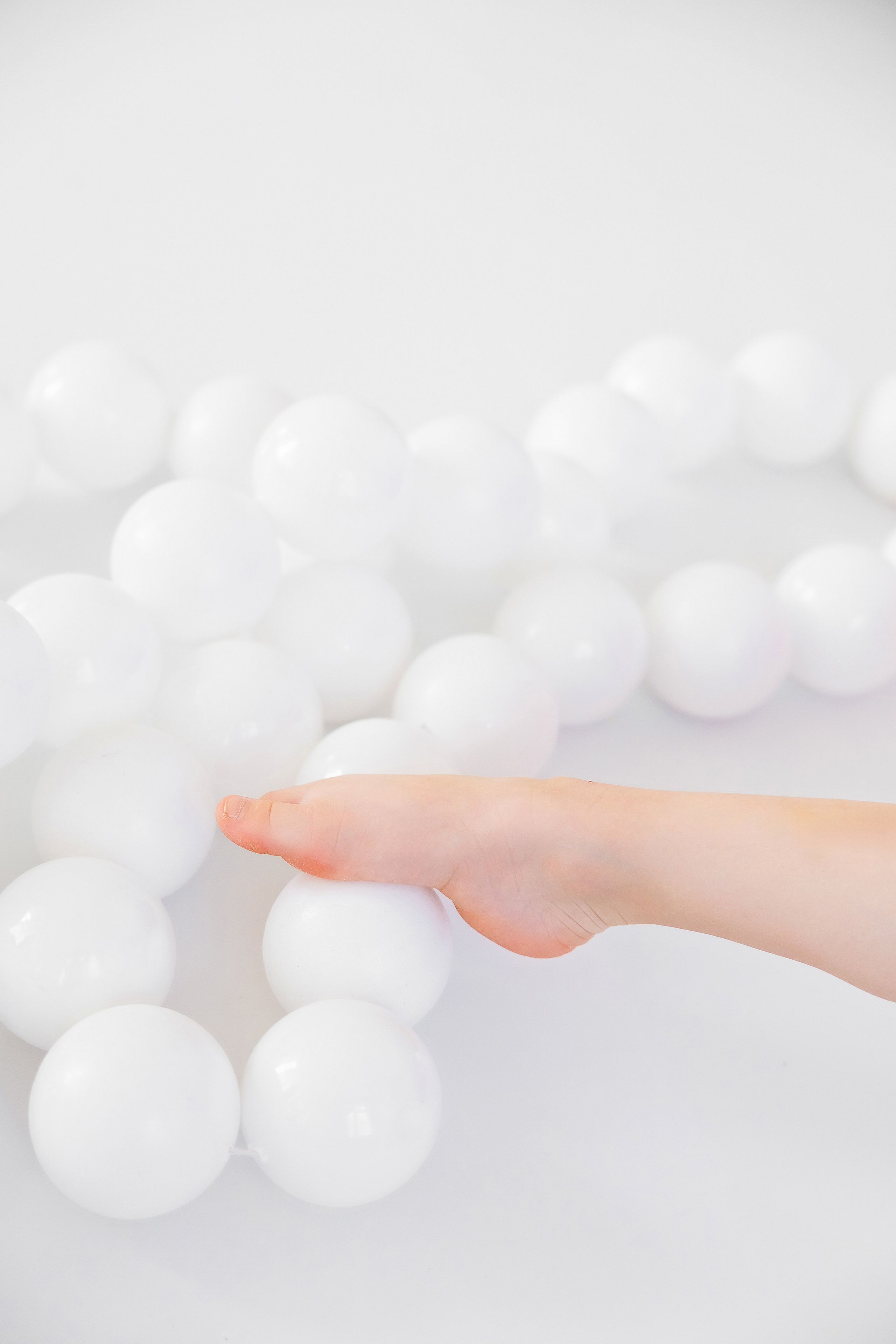 Честит Рожден Ден. Фотограф Ирина Йотова