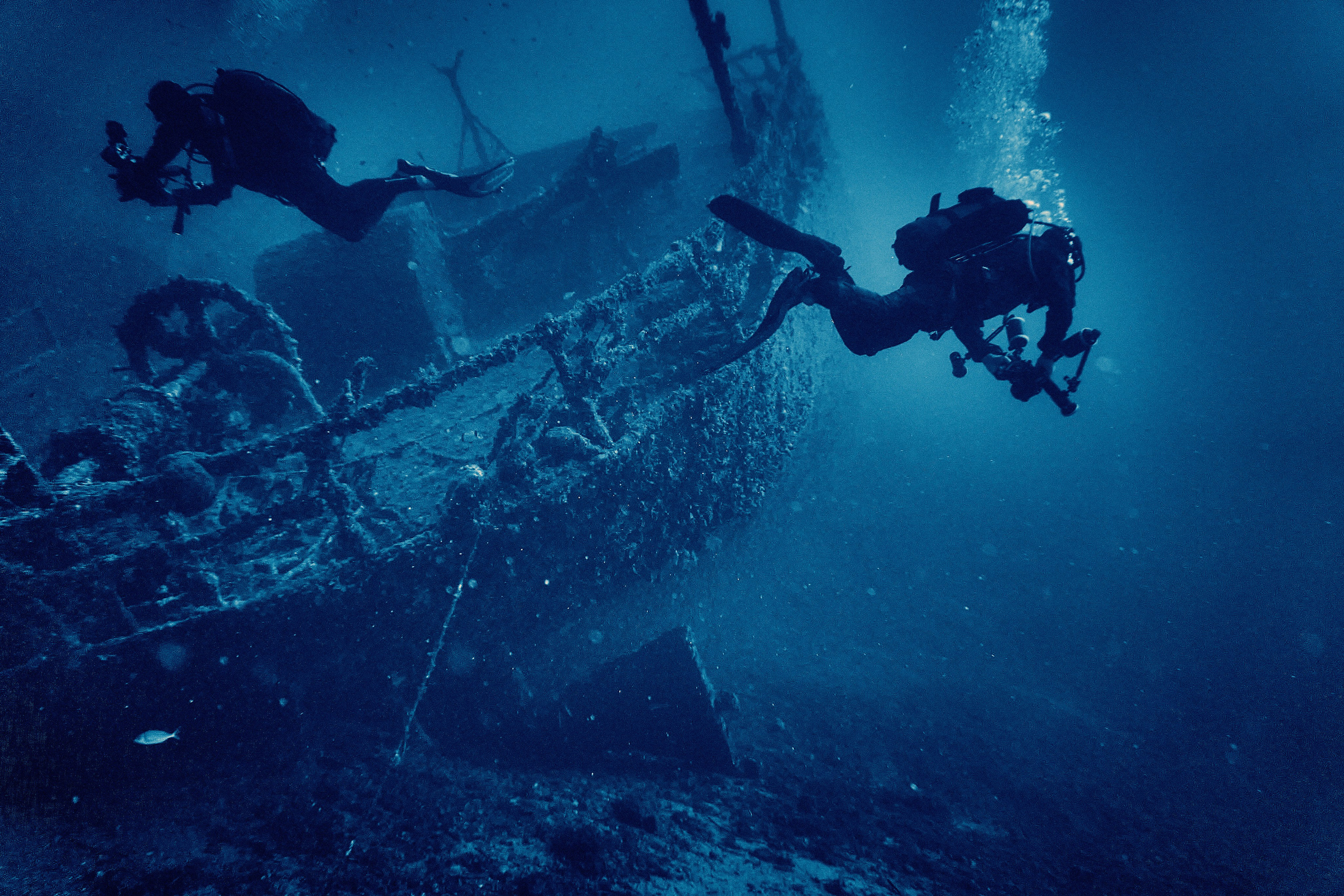 Fotograf podwodny Andriej Szypiłow. Андрей Шипилов — Фотография & Видеография