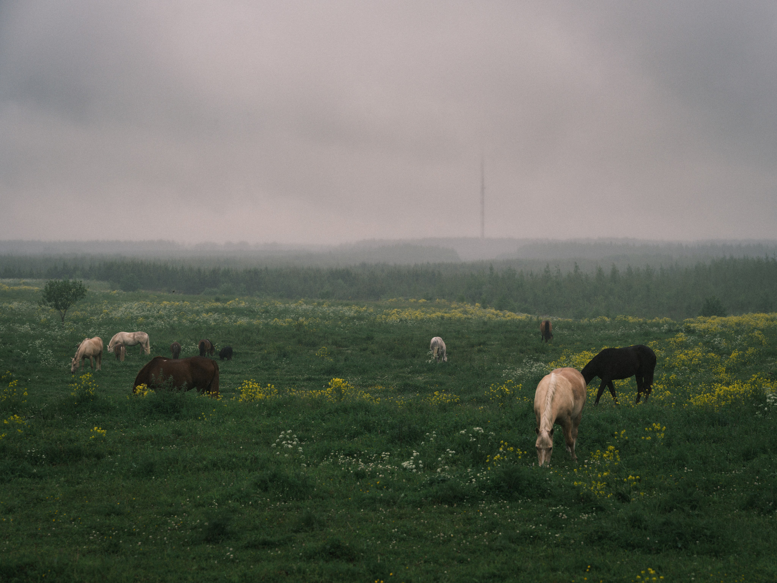 Artjom Kutuzov Photography