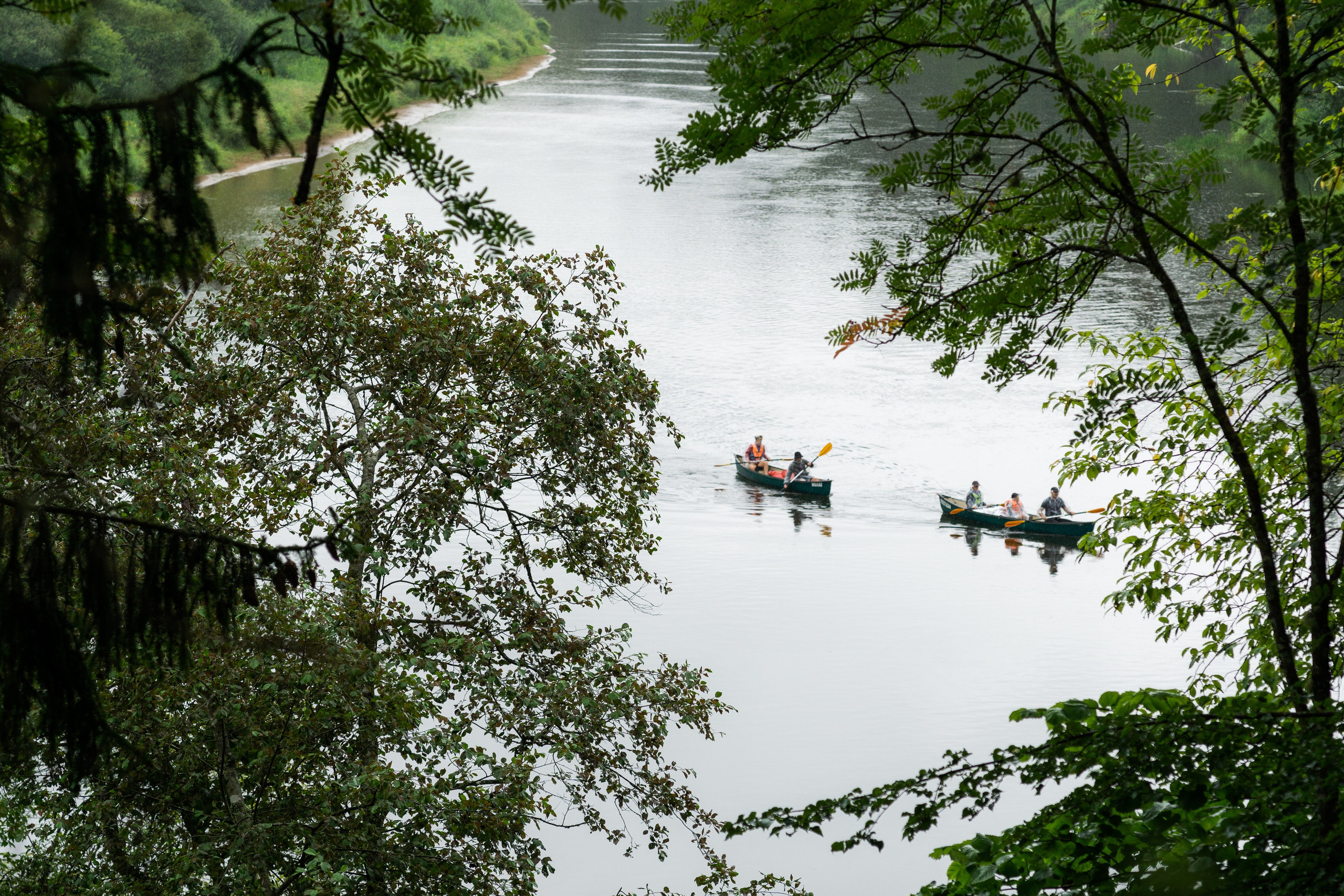 Kāzas Siltumnīcā. ROLFS VENDIŅŠ - KĀZU FOTOGRĀFS | Rīgā un visā Latvijā