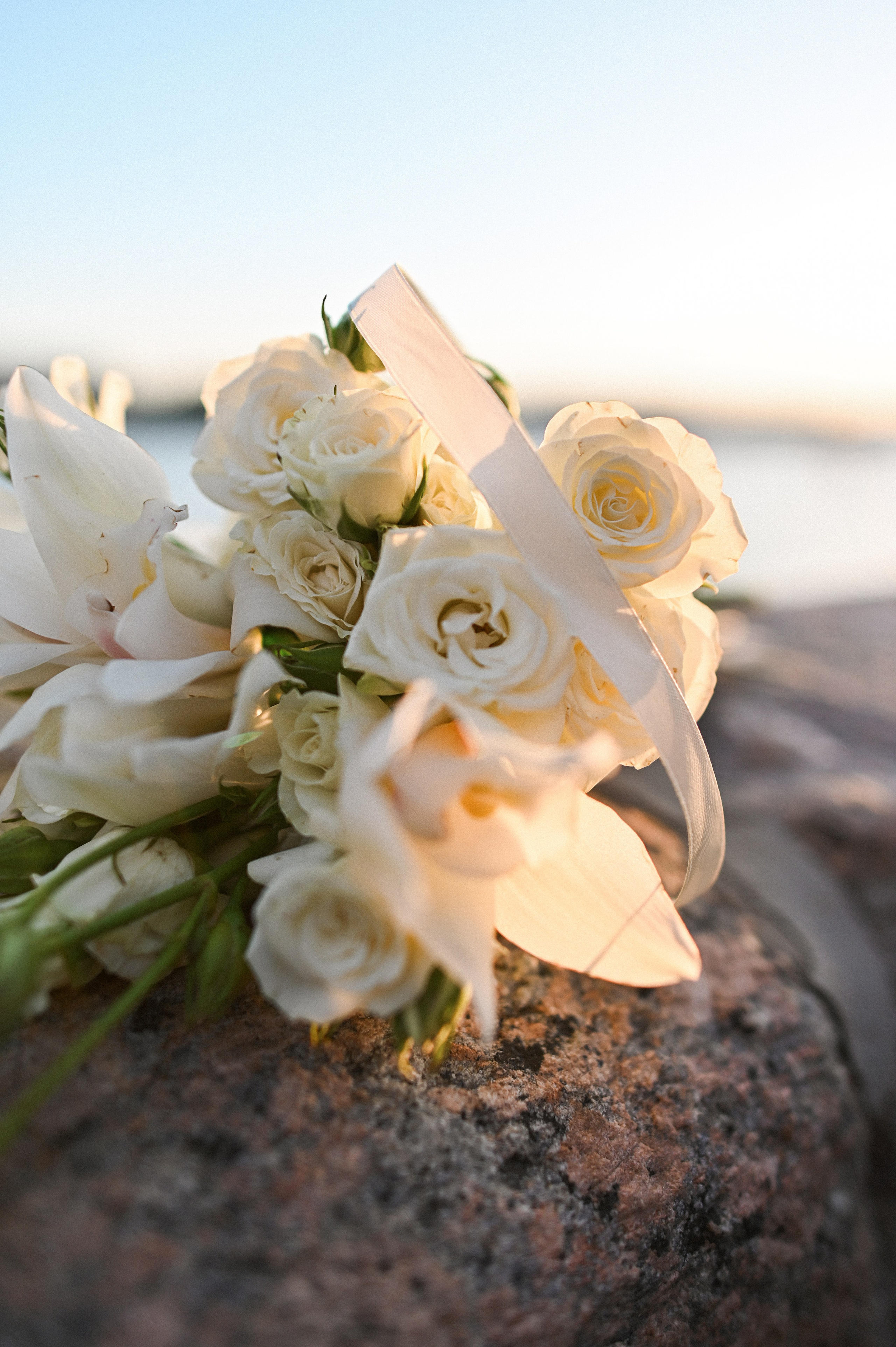 Прогулка на рассвете. Детский и семейный фотограф в финляндии дина пулкка. контент фотограф