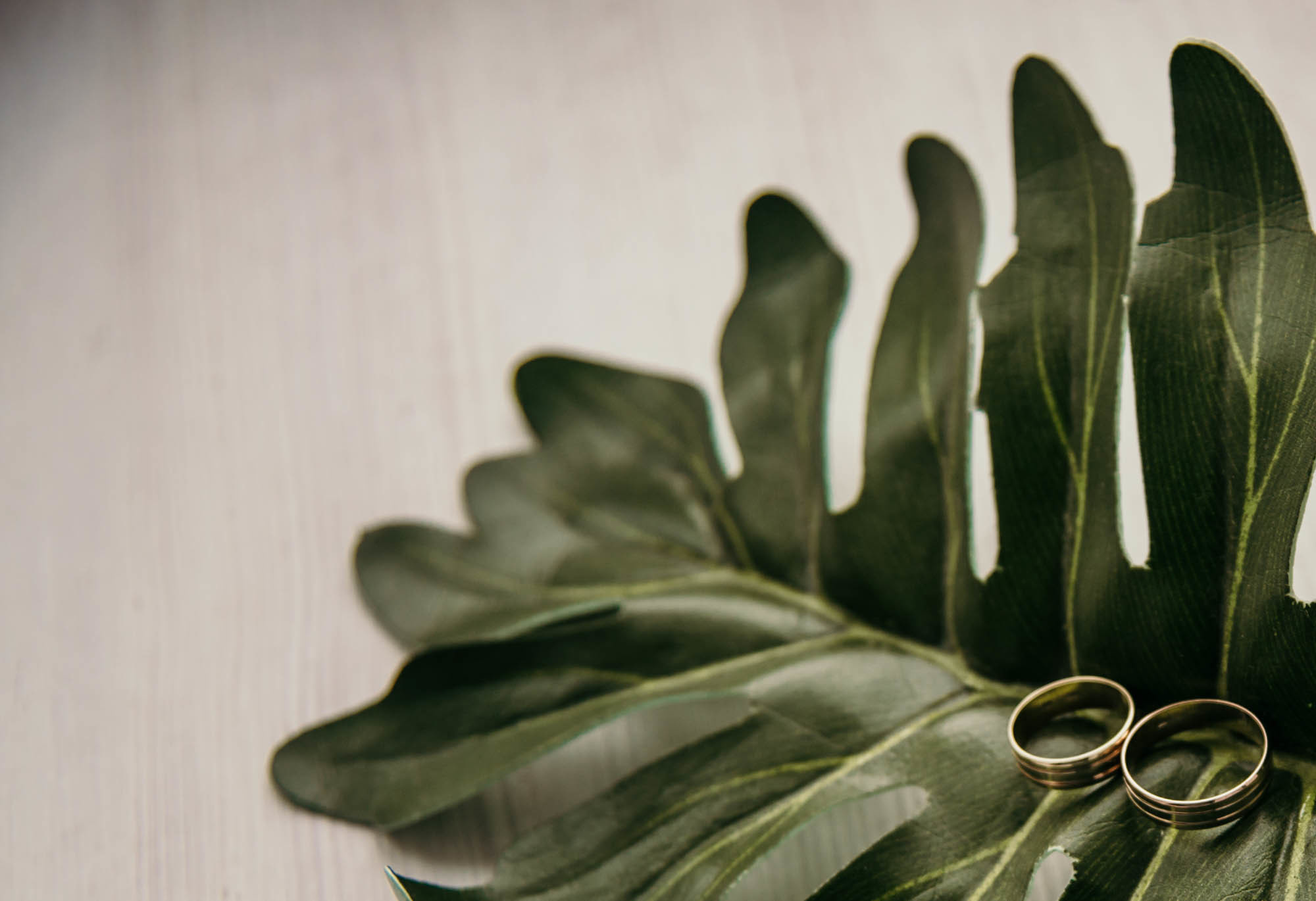 Nata & Andriy. Family Lifestyle Photography