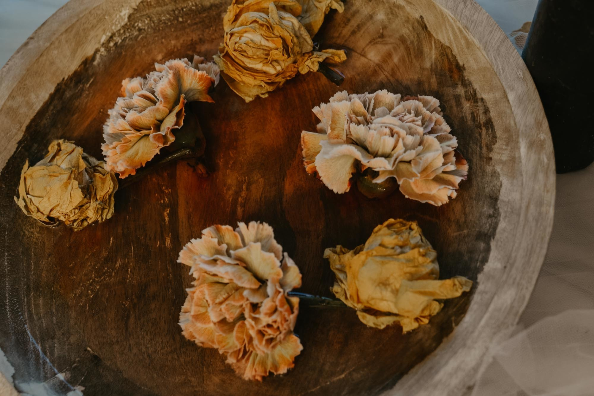 Elopement in Winter Forest. Family Lifestyle Photography