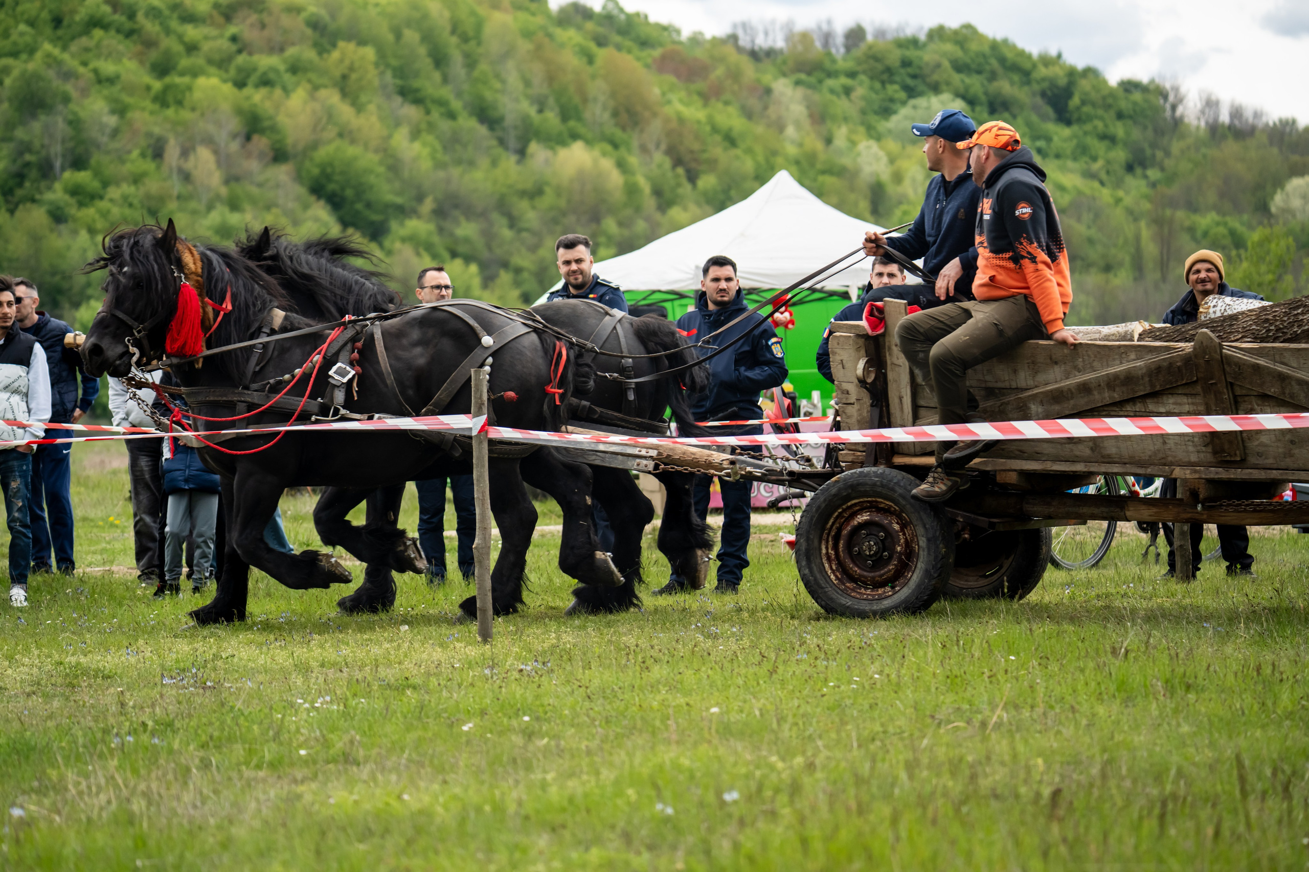 Concurs Ecvestru Vărbilău ediția a 4-a. Mihai Alexandra Events