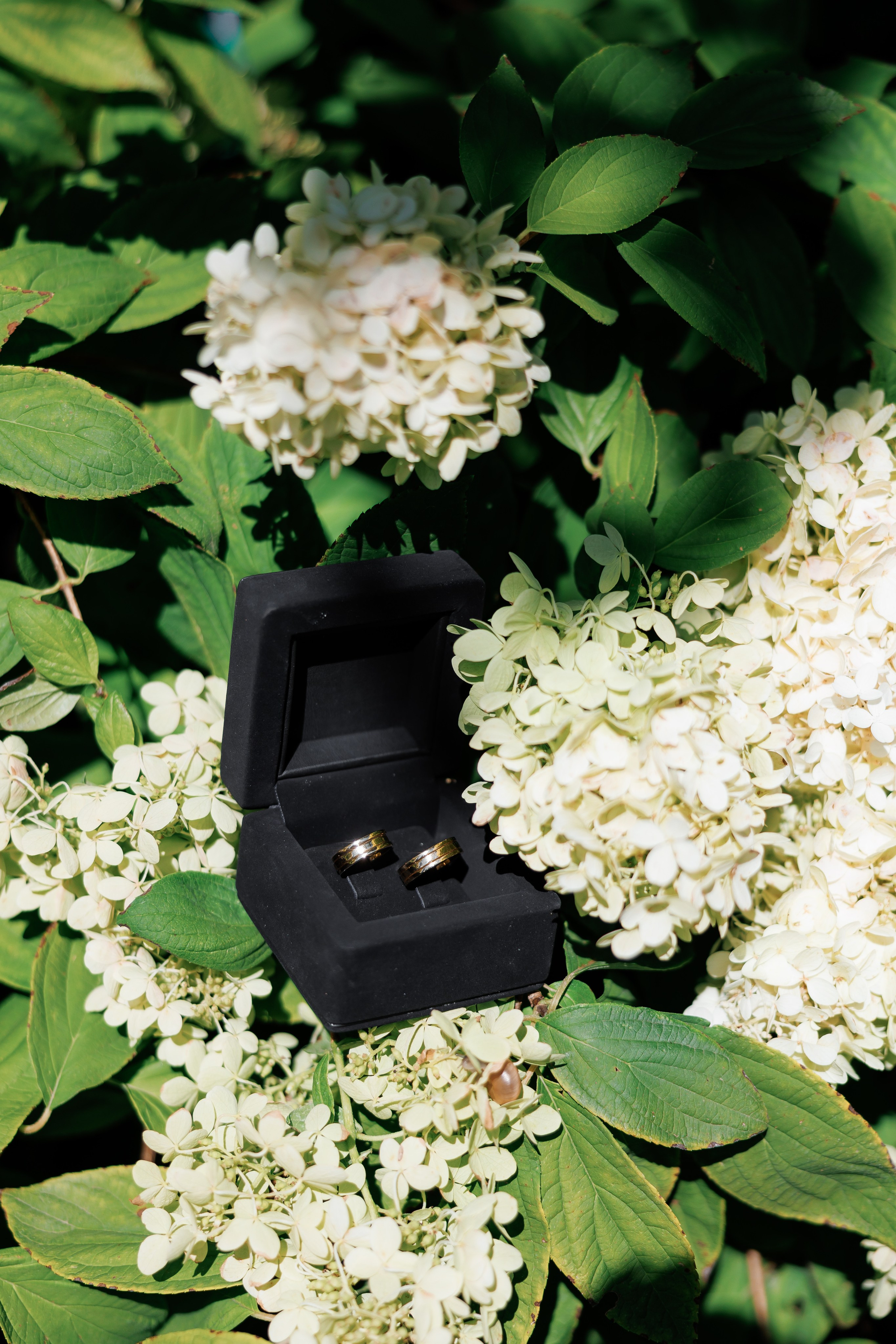 Маша & Льоша. Весільний та сімейний фотограф Одеса