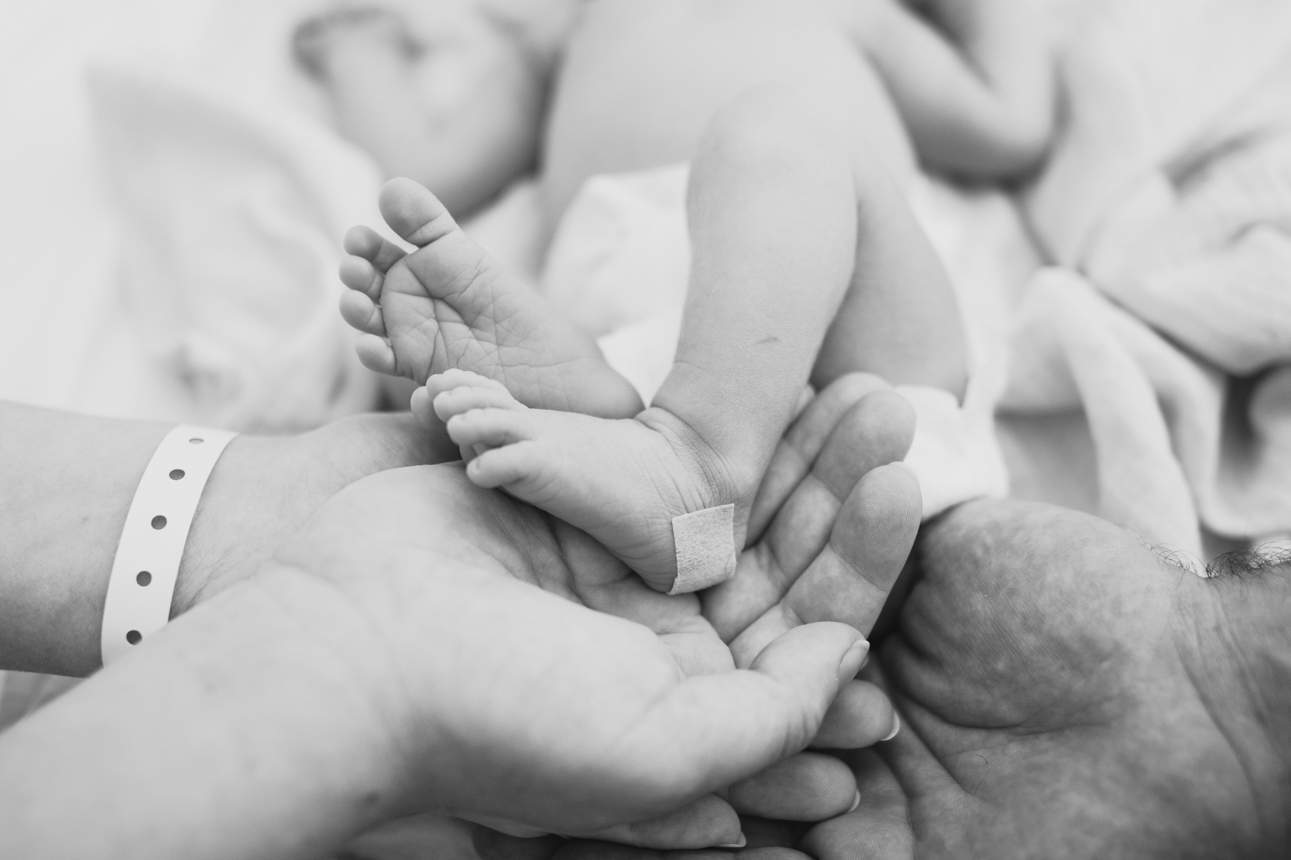 Fresh 48. Fotografka Andrea Hlaváčová / Karlovarský kraj / Karlovy Vary Sokolov