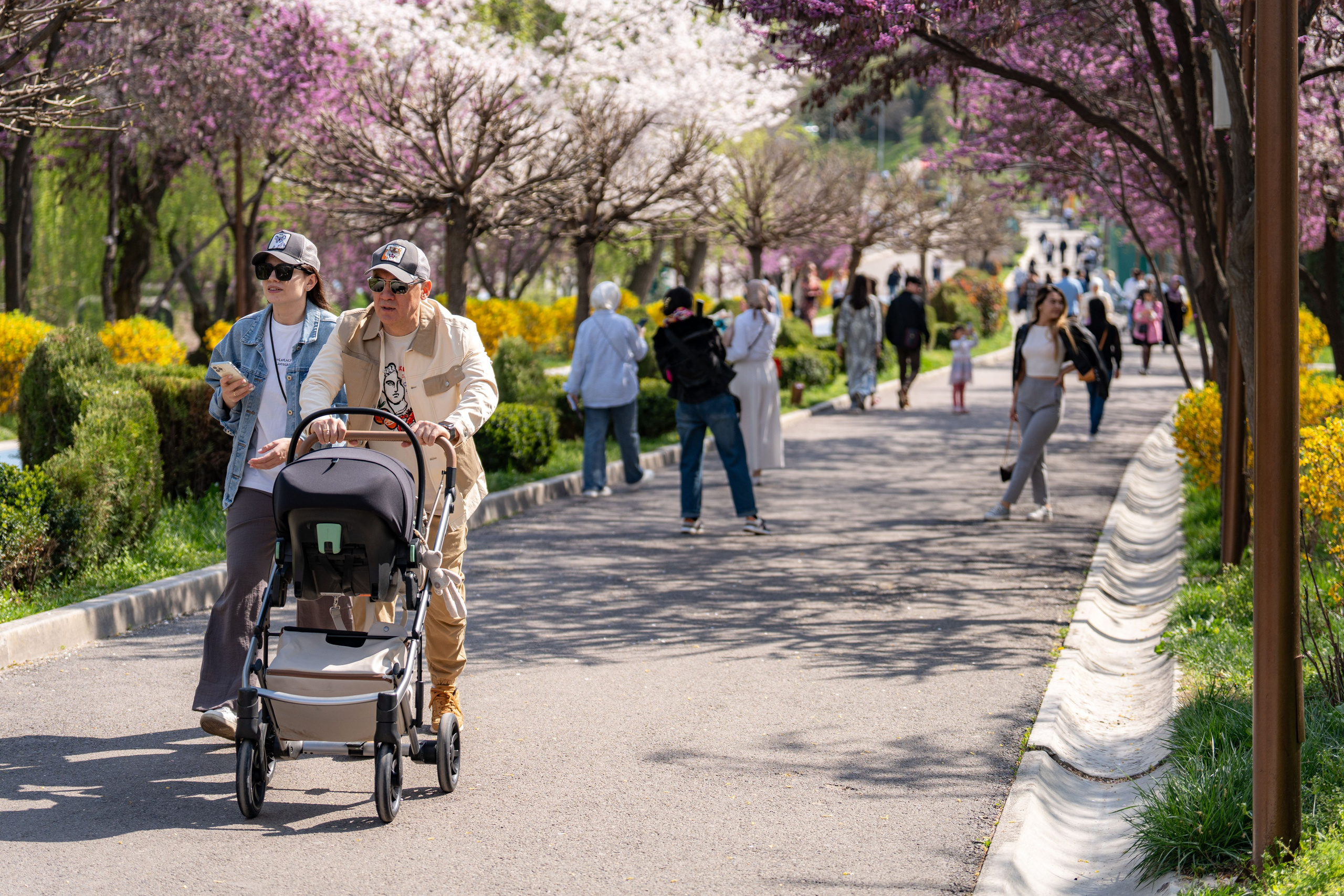 Весенний вайб Ташкента. Георгий Намазов | Фотограф в Ташкенте
