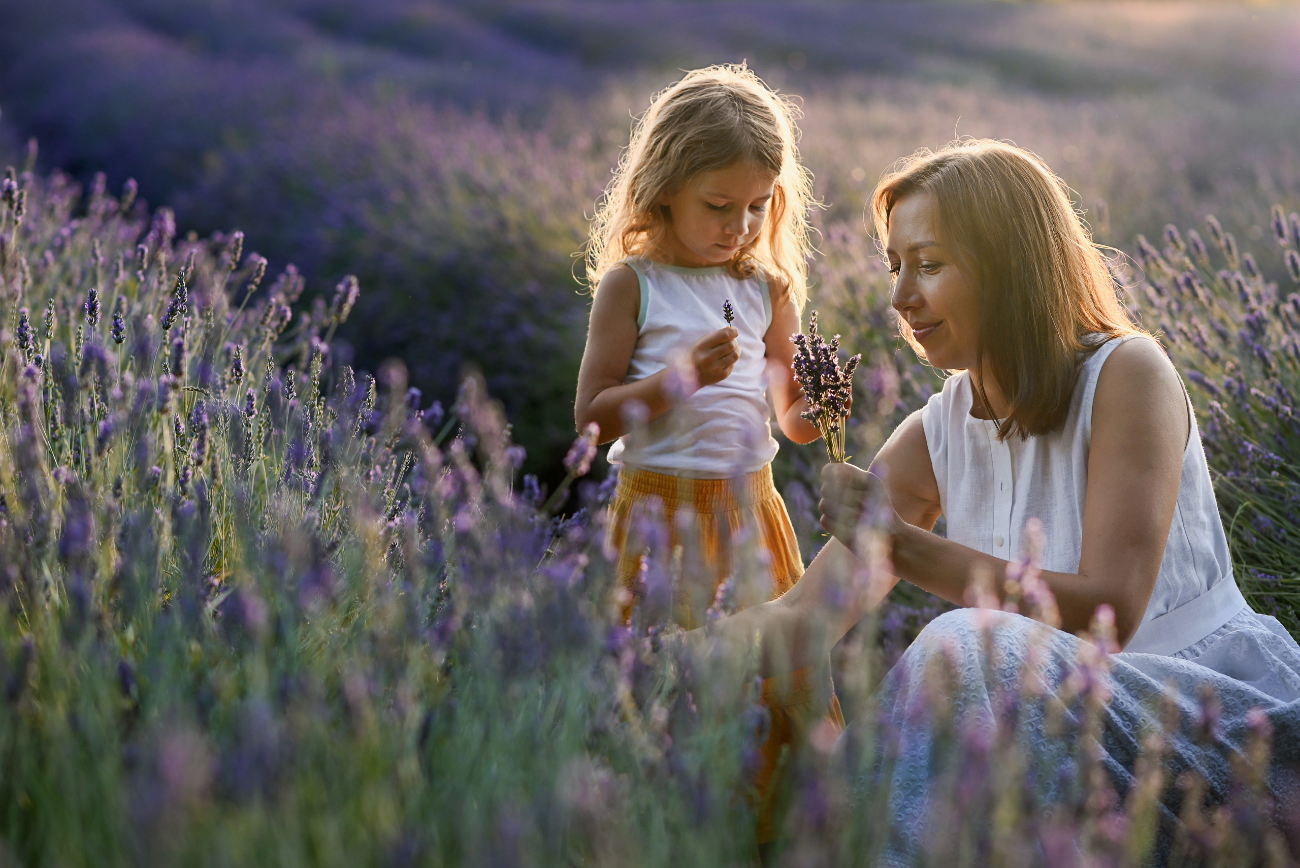 Lavanda. Uliana Radeka Fotograf