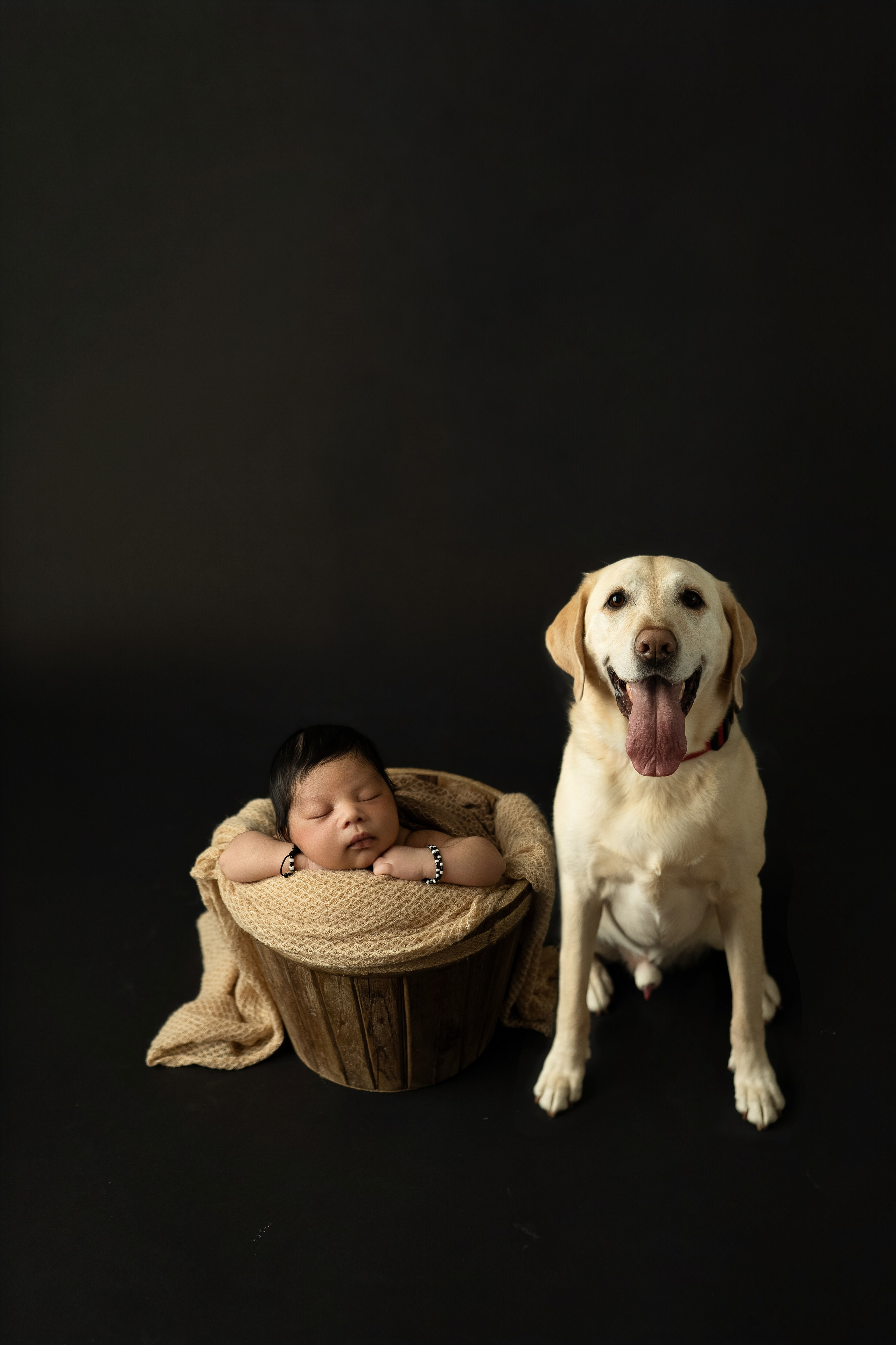 Newborn+Family. Maternity, family and newborn photography in San Francisco Bay Area