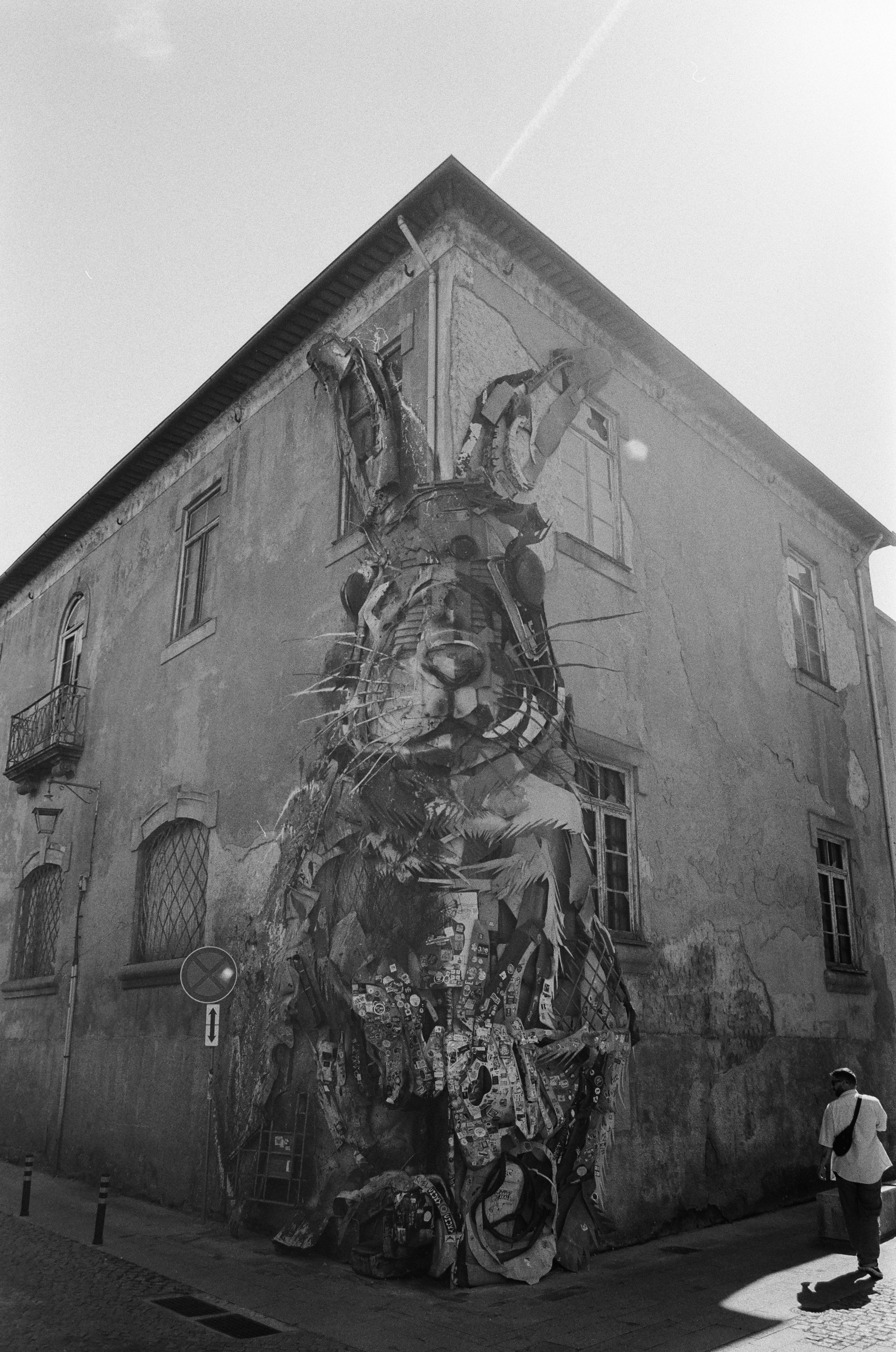 Straßenkunst eines großen Hasen an einer Hausfassade in Porto