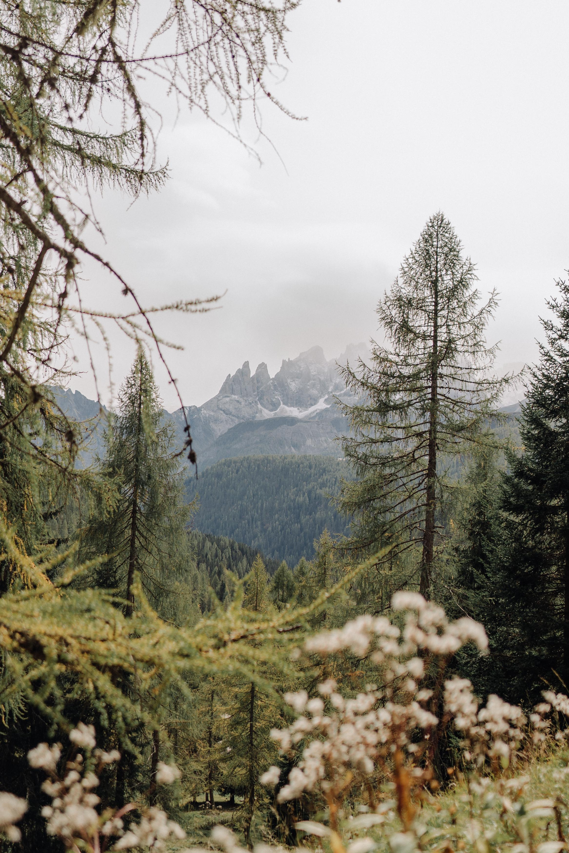 Nature. Фотограф в Праге Анна Лебедева
