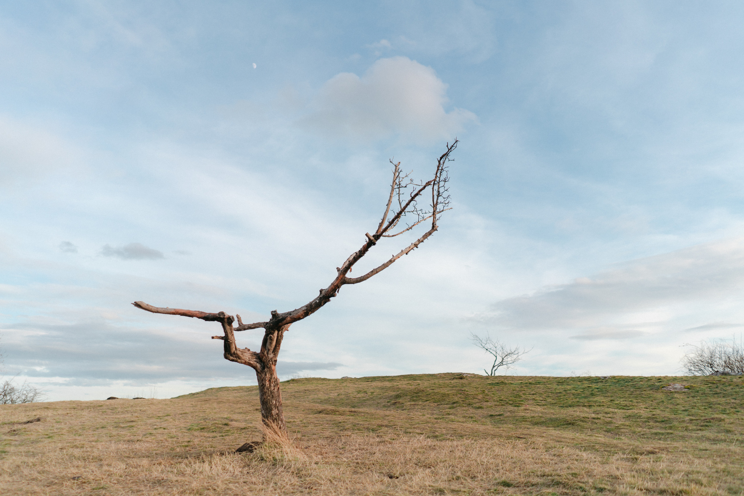 Nature. Фотограф в Праге Анна Лебедева
