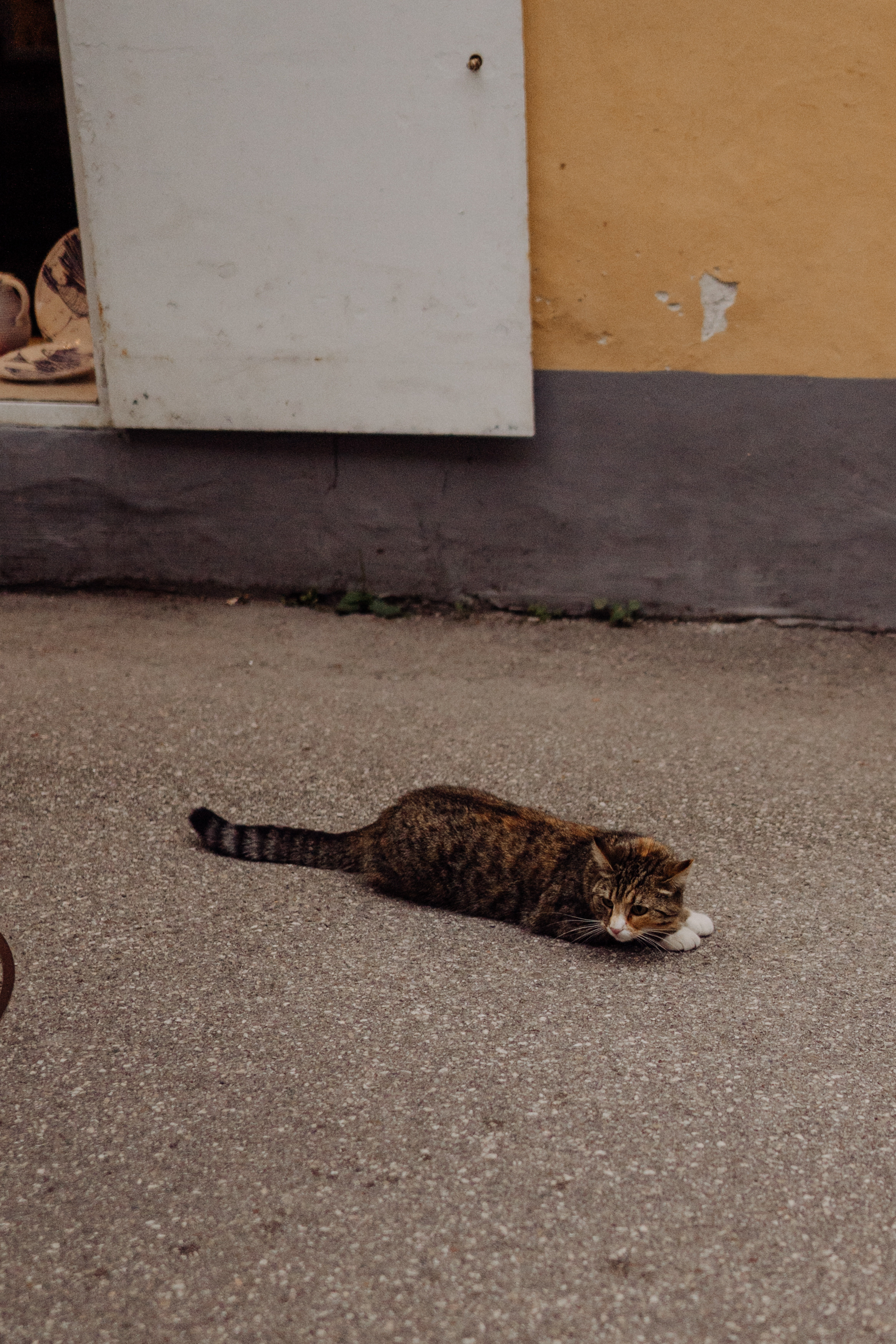 Austria. Фотограф в Праге Анна Лебедева