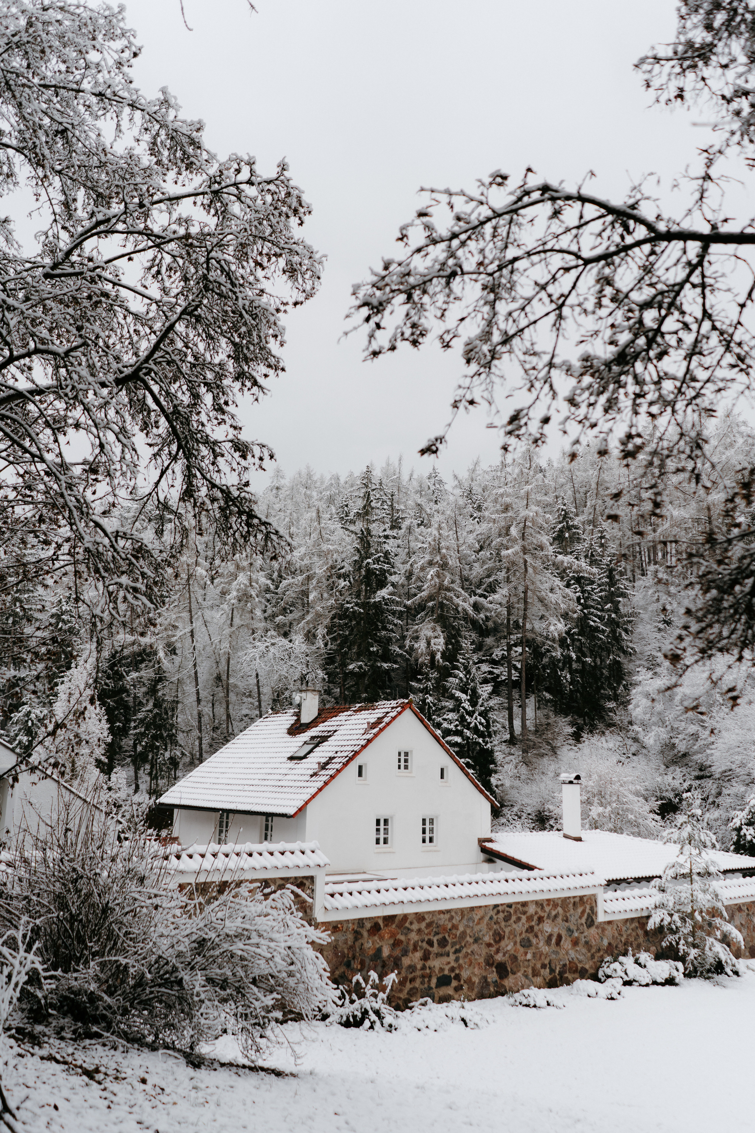 Nature. Фотограф в Праге Анна Лебедева