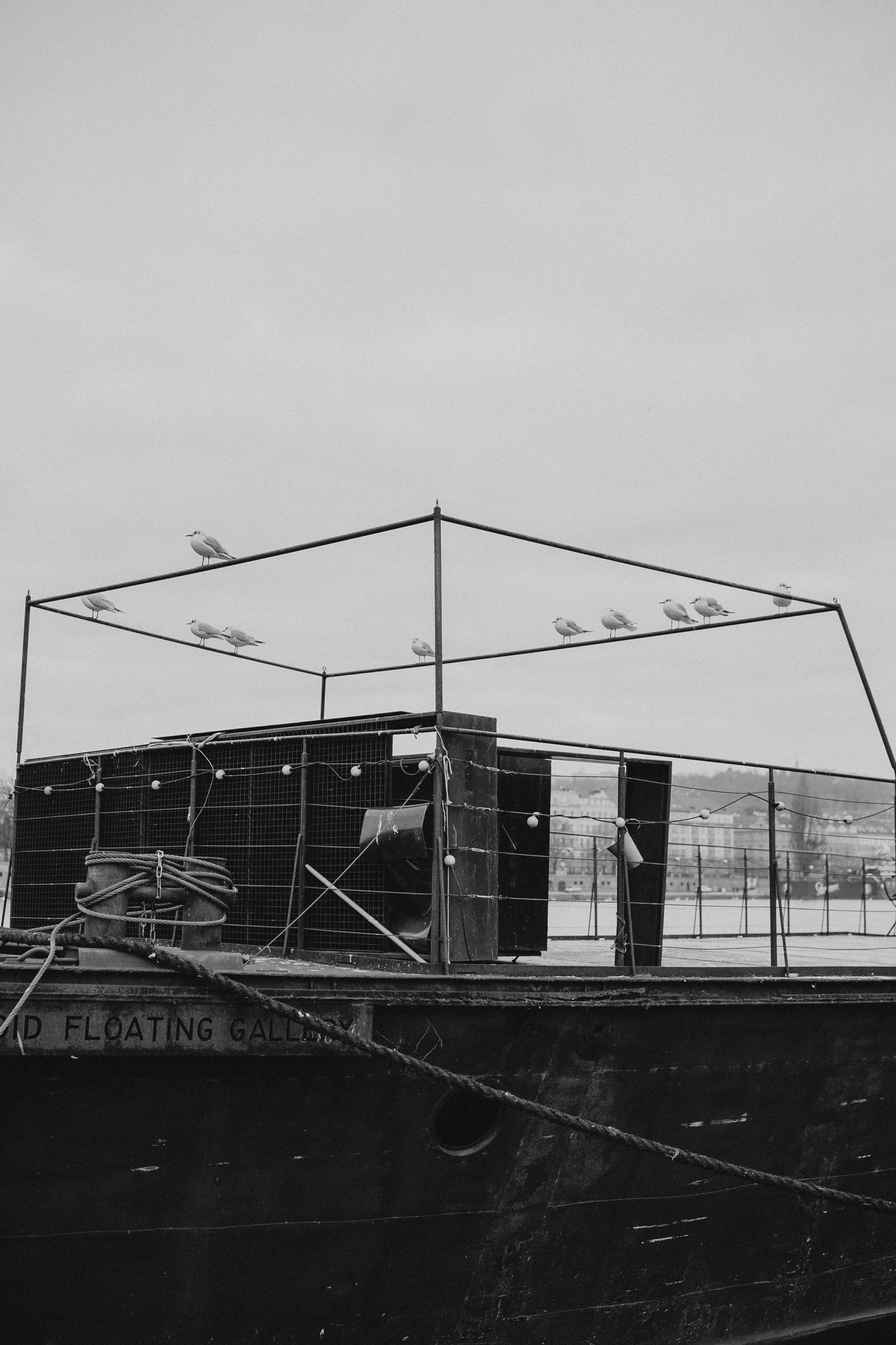 River, coat and birds. Фотограф в Праге Анна Лебедева