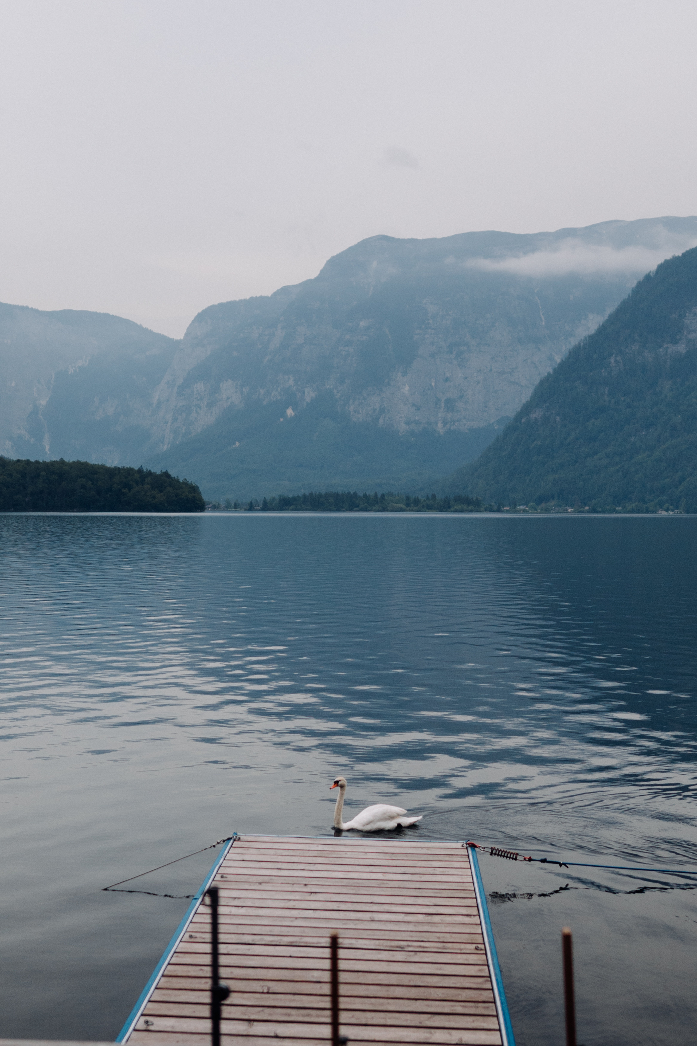 Austria. Фотограф в Праге Анна Лебедева