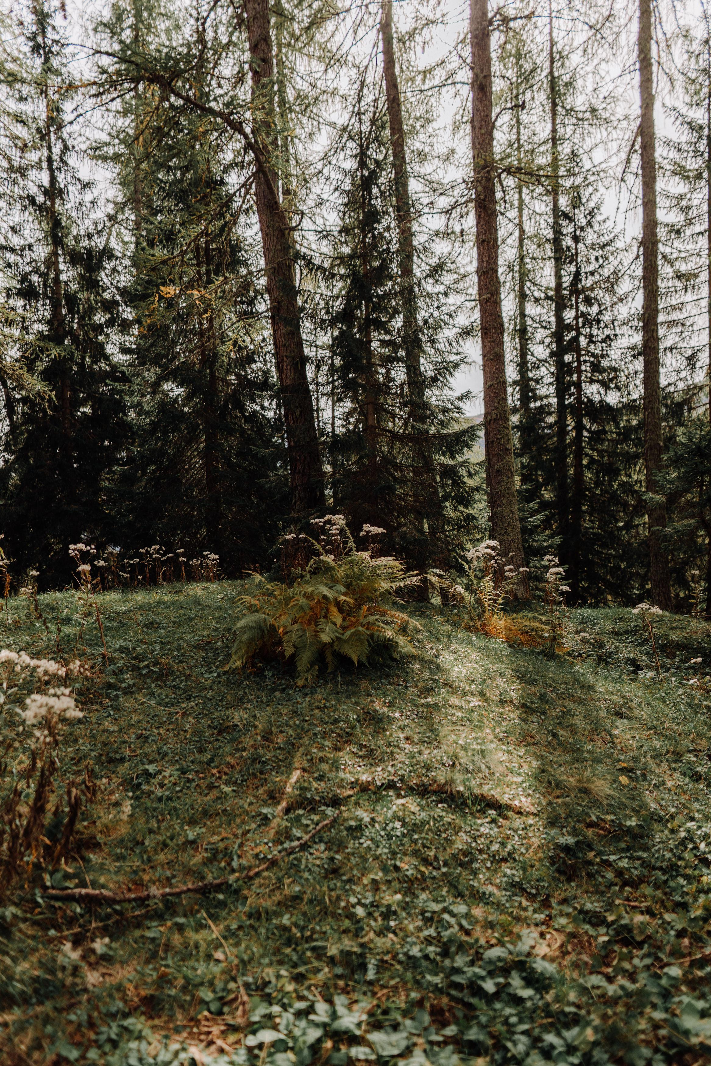 Nature. Фотограф в Праге Анна Лебедева