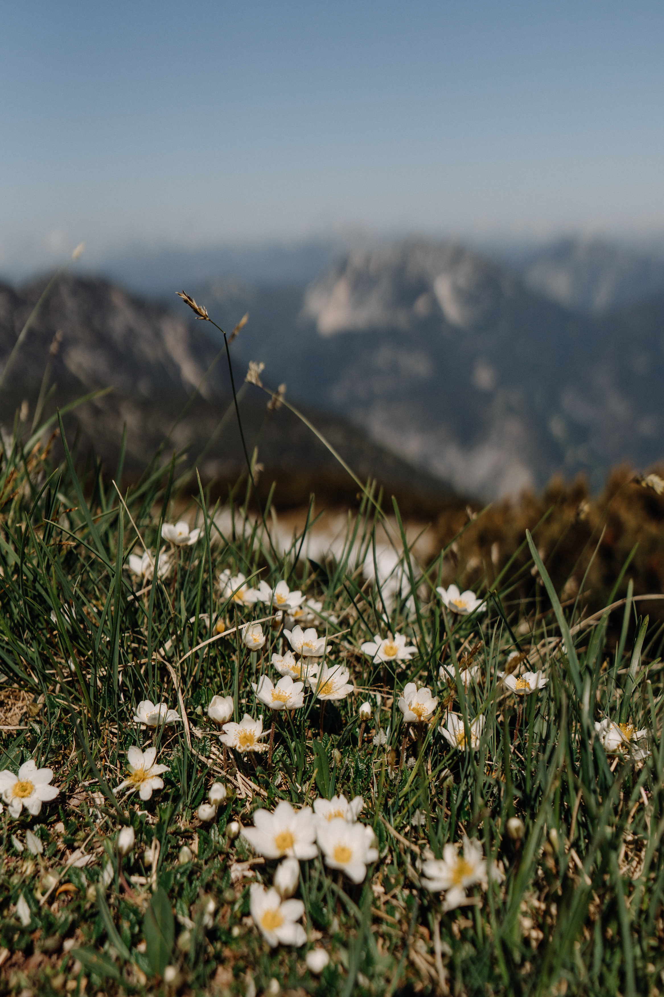 Austria. Фотограф в Праге Анна Лебедева