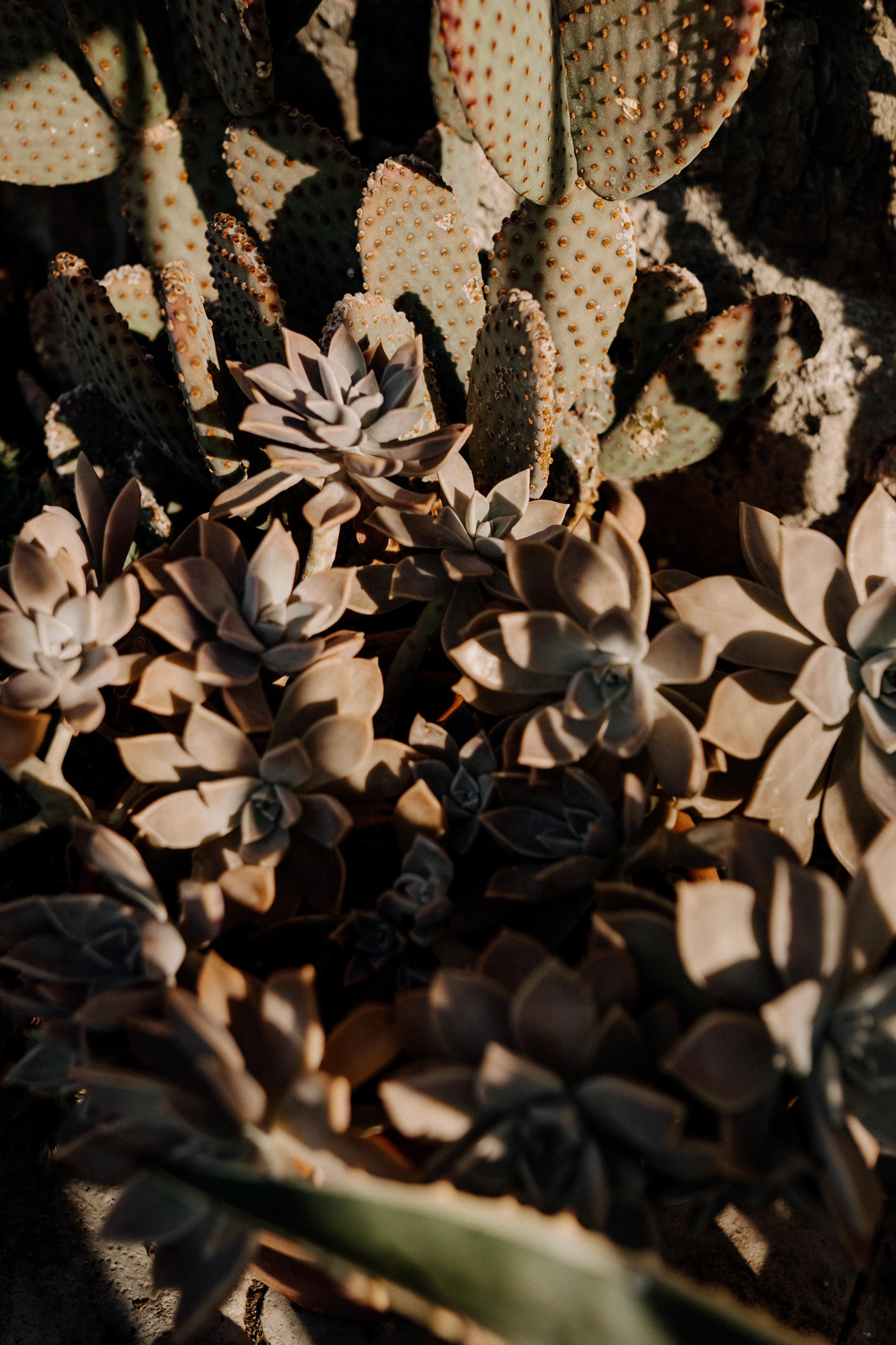 Monterenzio. Country life. Фотограф в Праге Анна Лебедева