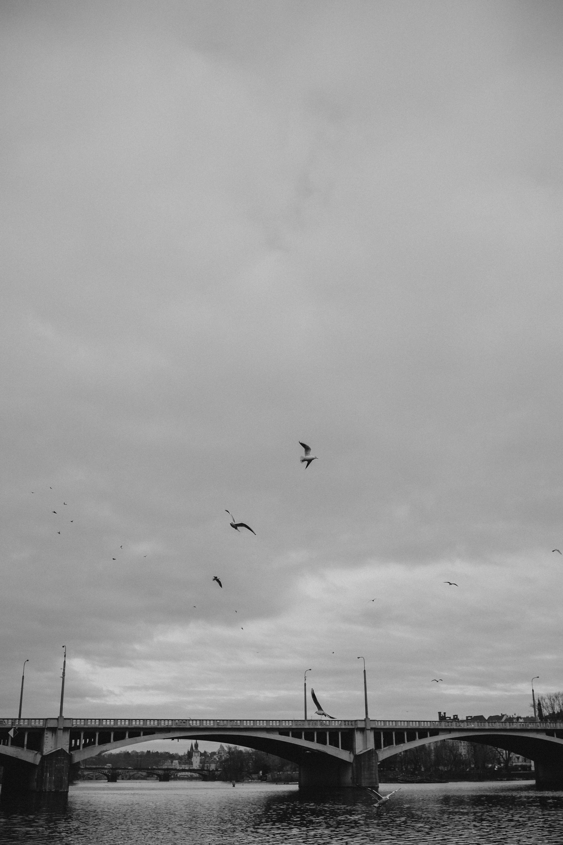 River, coat and birds. Фотограф в Праге Анна Лебедева