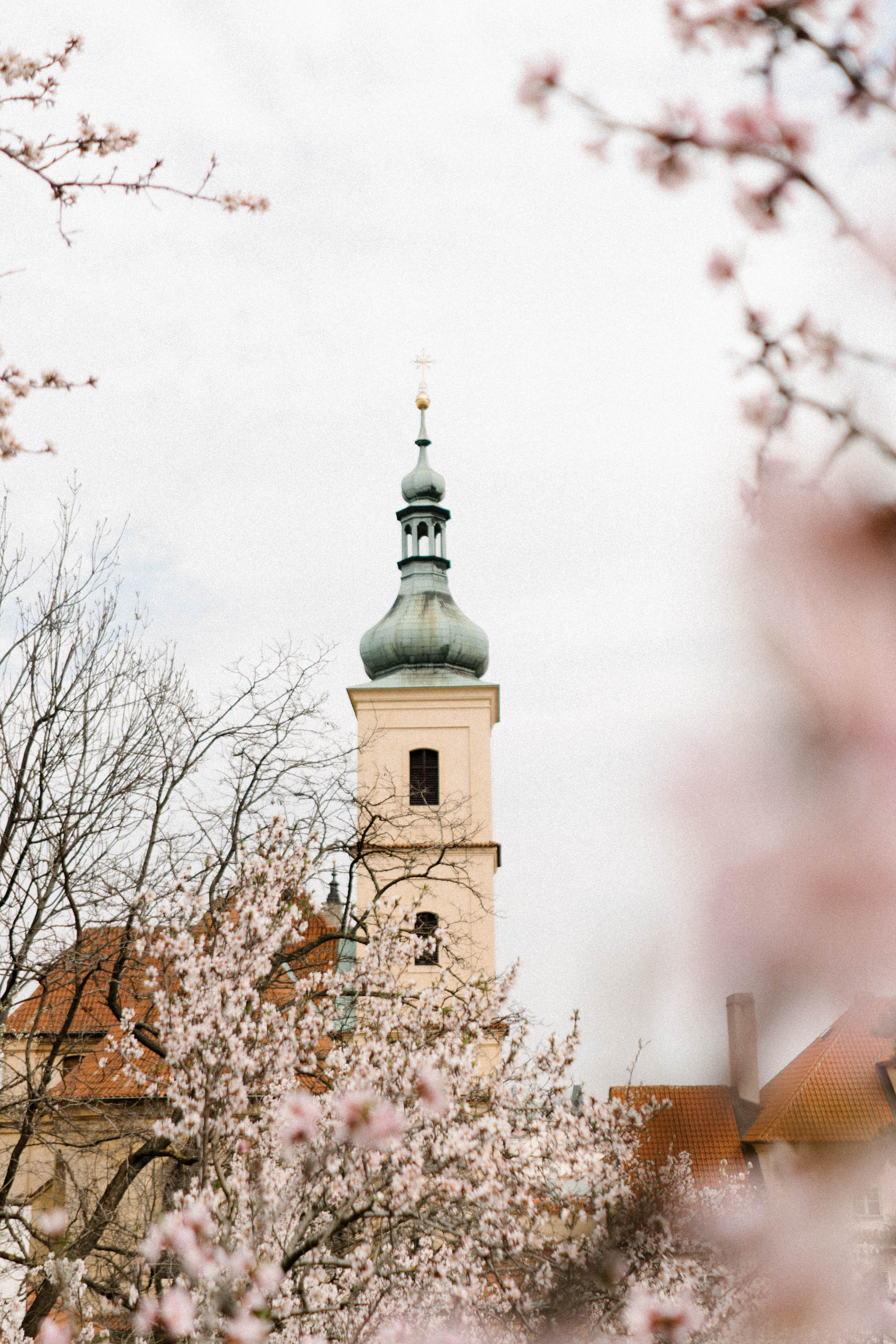 Prague. Фотограф в Праге Анна Лебедева