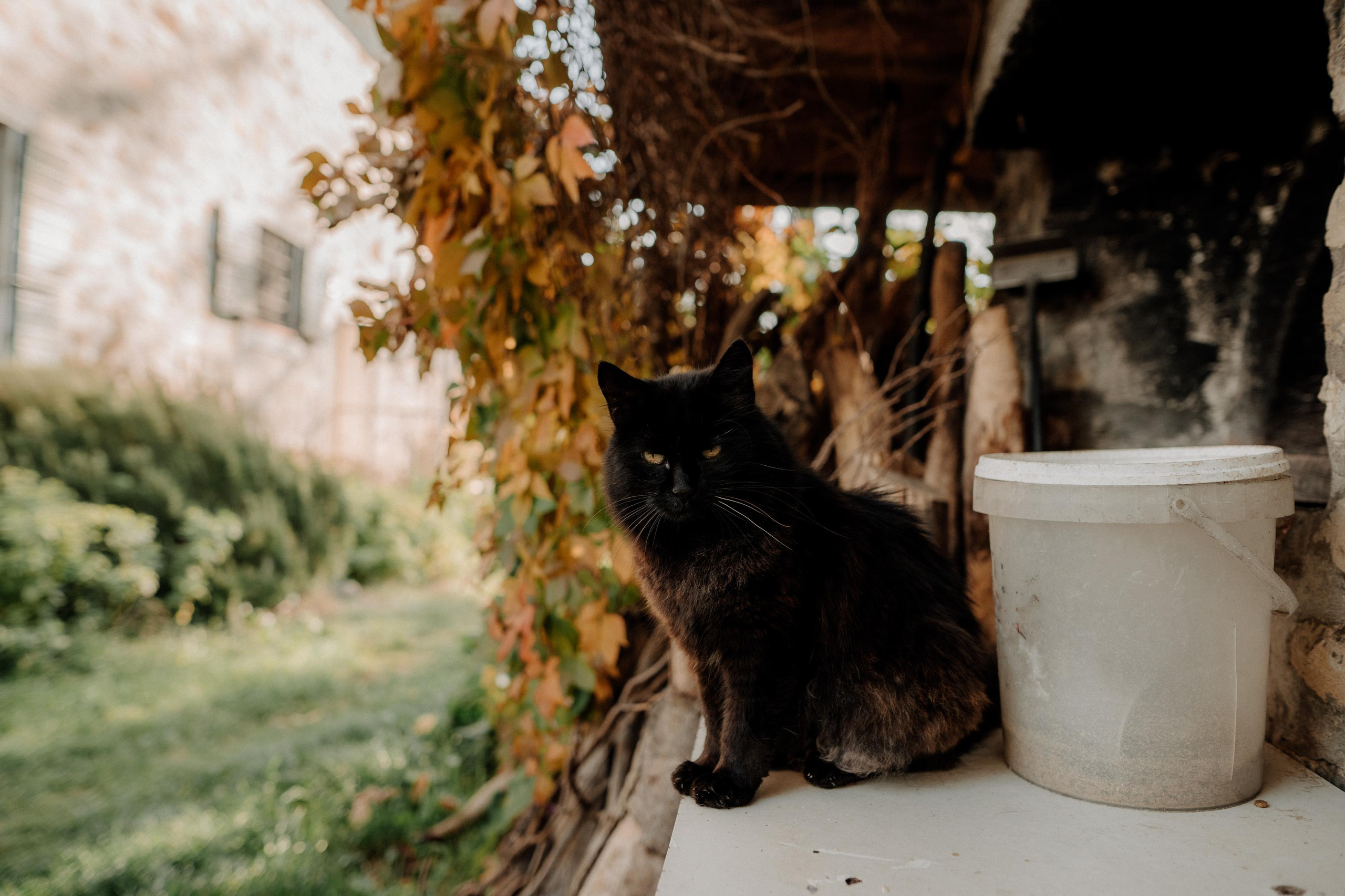 Monterenzio. Country life. Фотограф в Праге Анна Лебедева