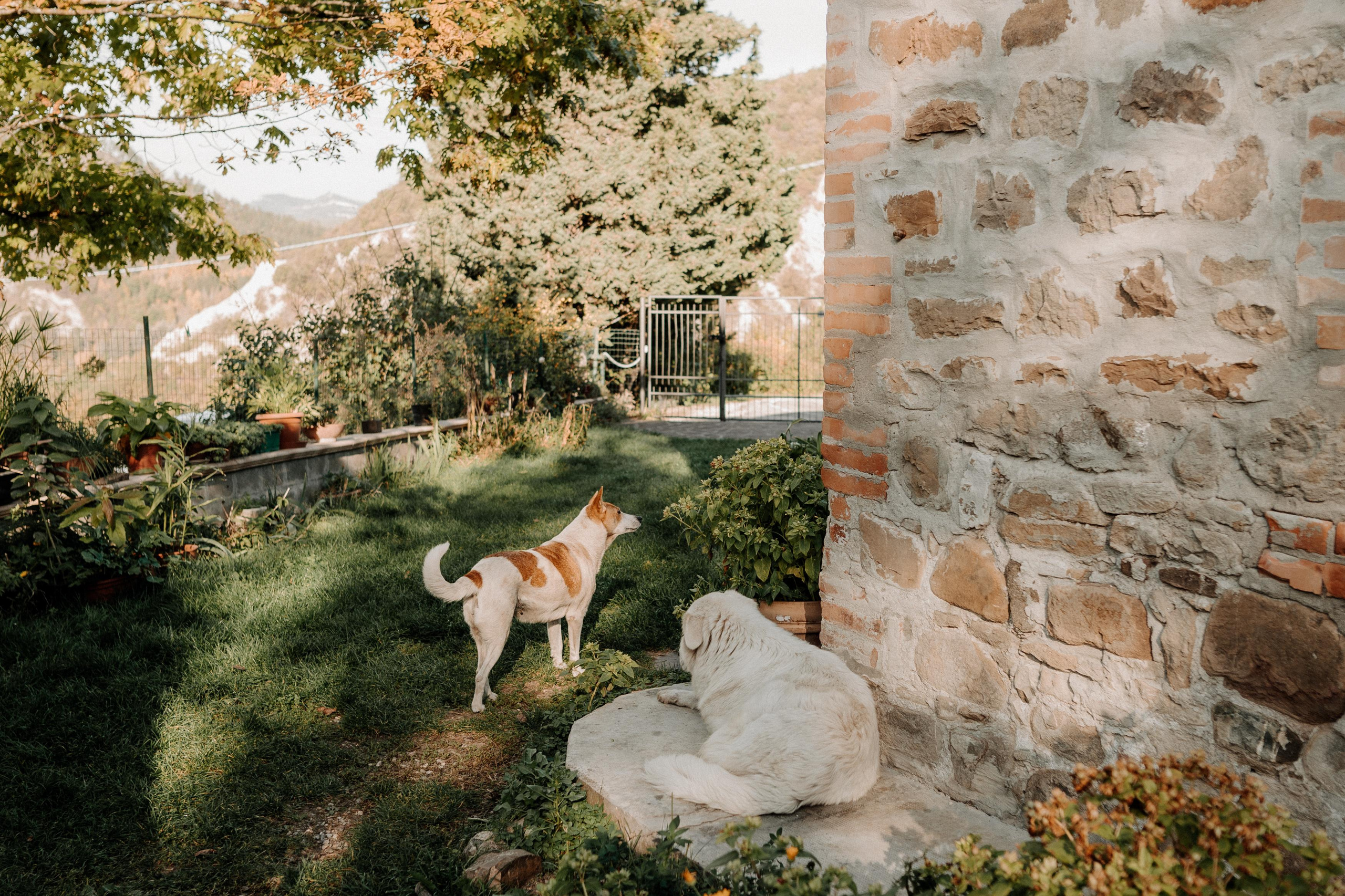 Monterenzio. Country life. Фотограф в Праге Анна Лебедева