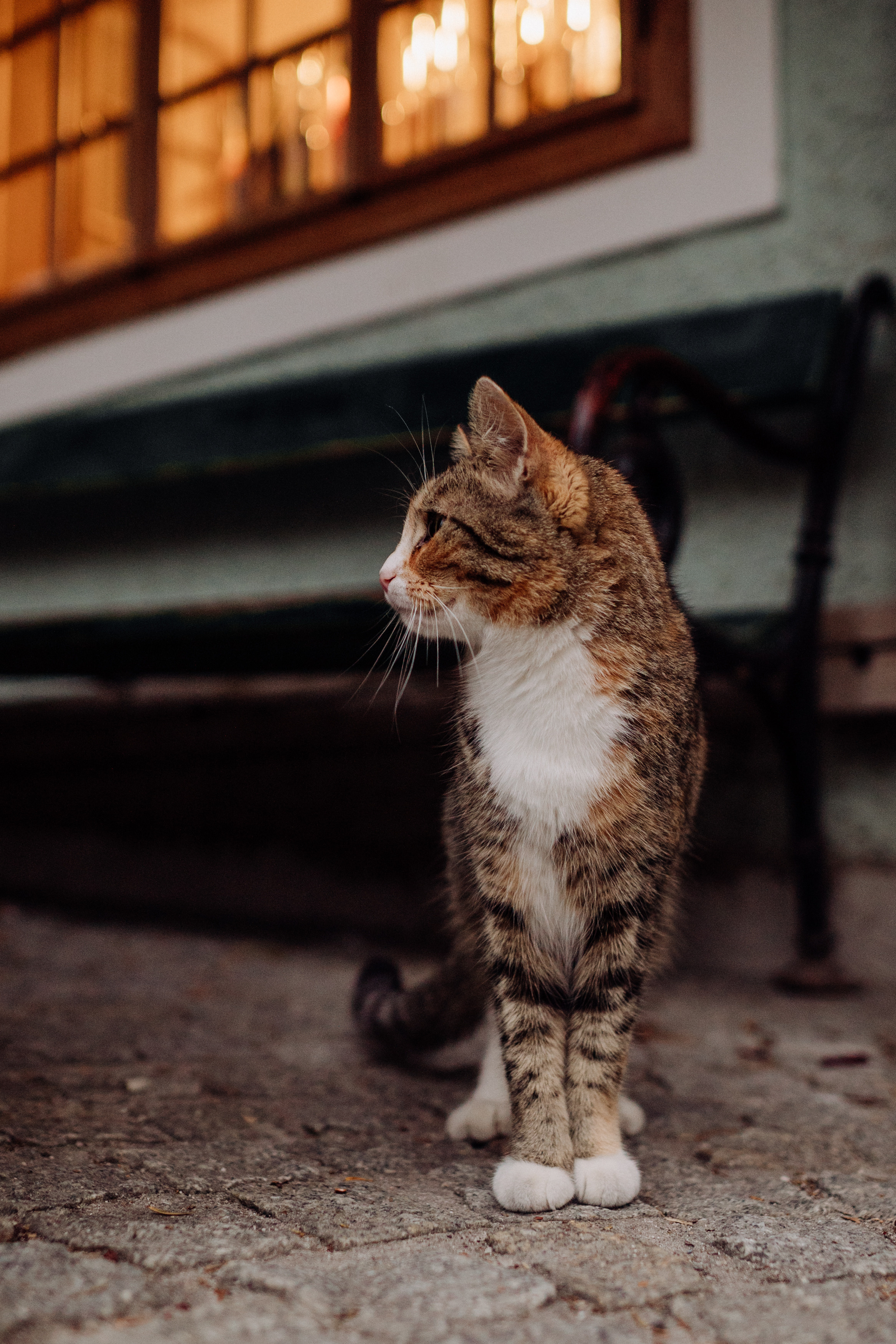 Austria. Фотограф в Праге Анна Лебедева