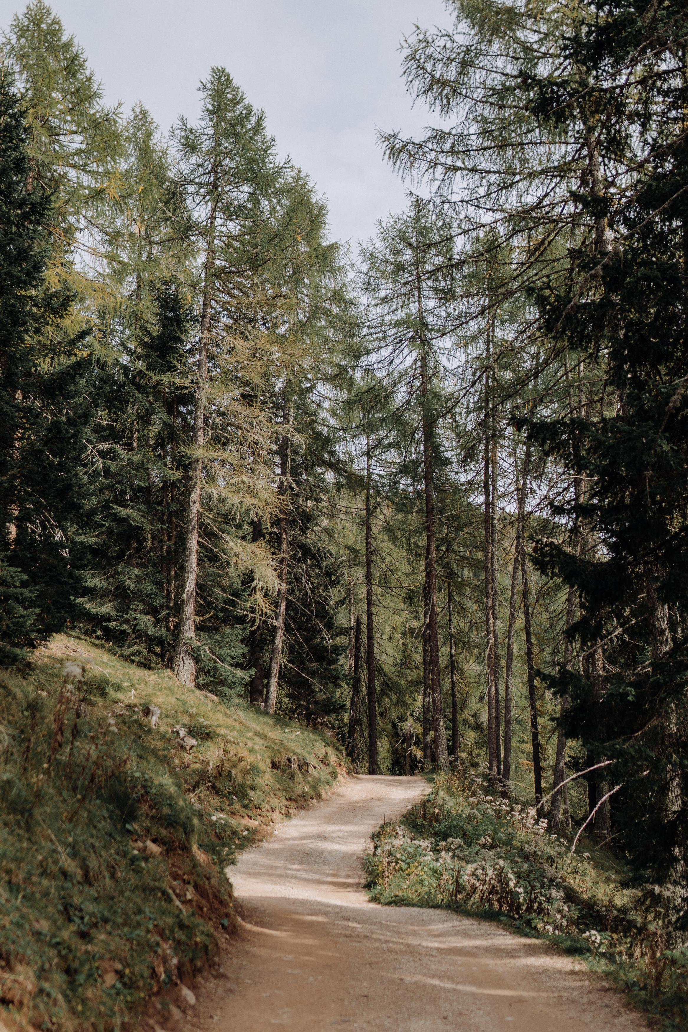 Nature. Фотограф в Праге Анна Лебедева