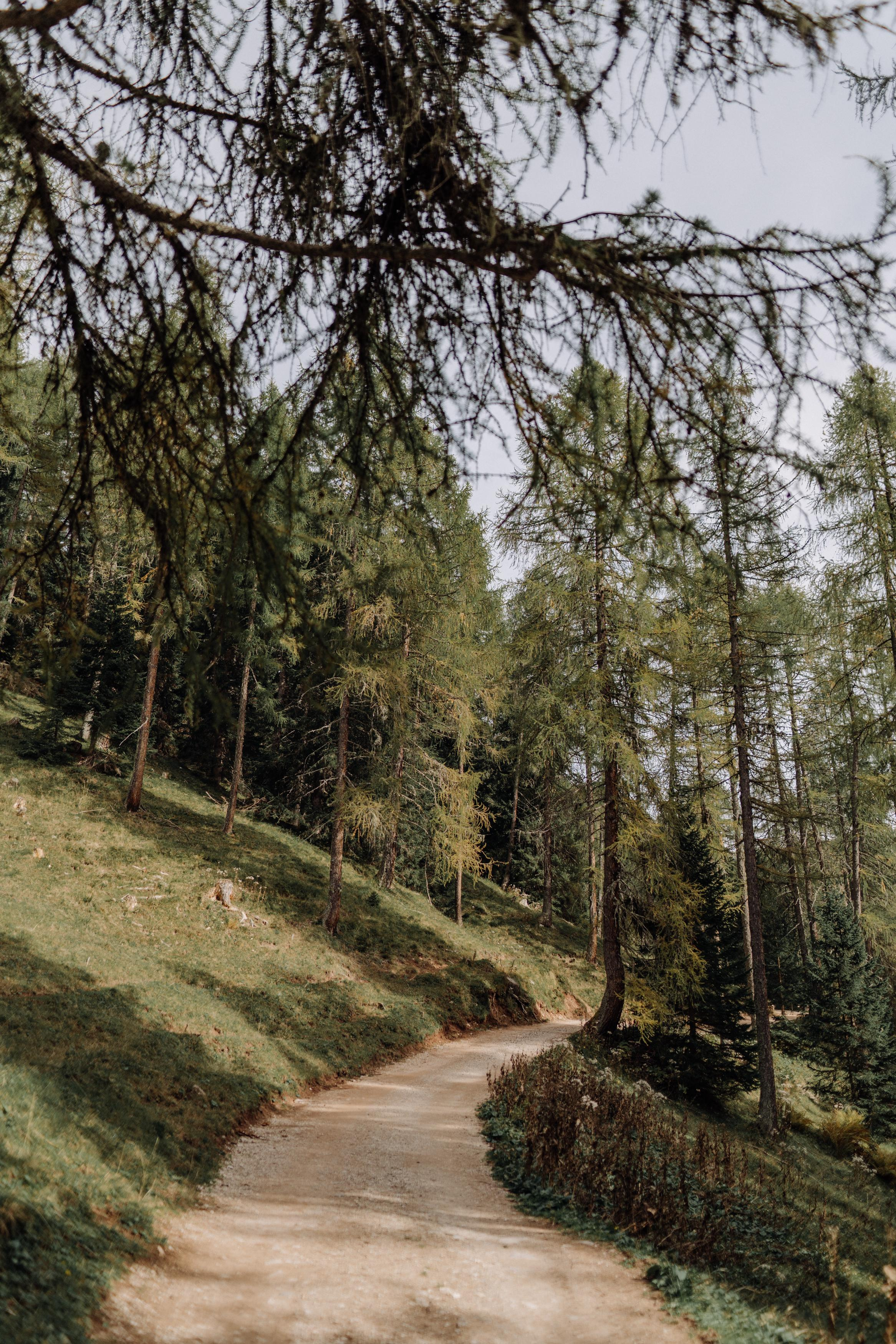 Nature. Фотограф в Праге Анна Лебедева