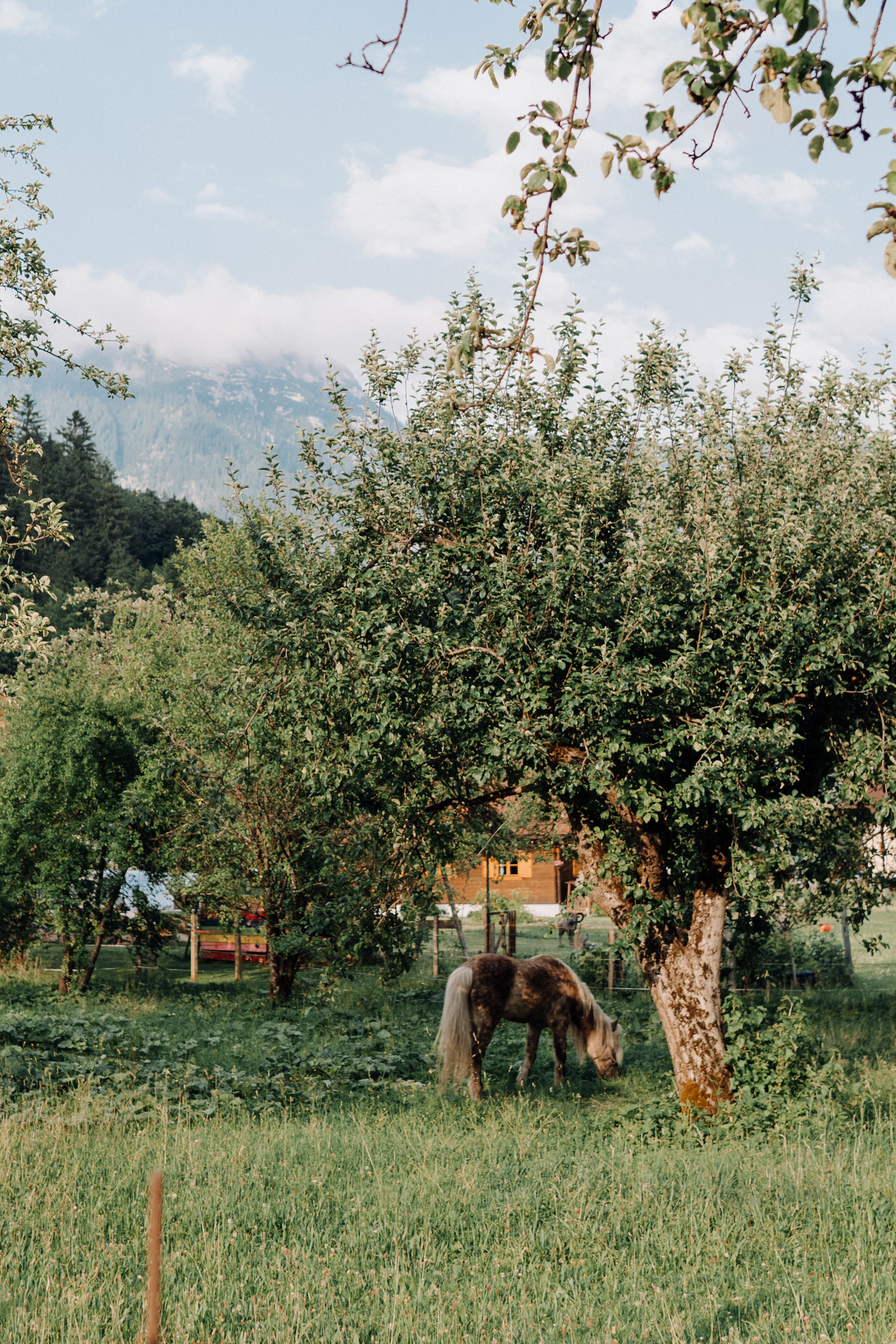 Austria. Фотограф в Праге Анна Лебедева