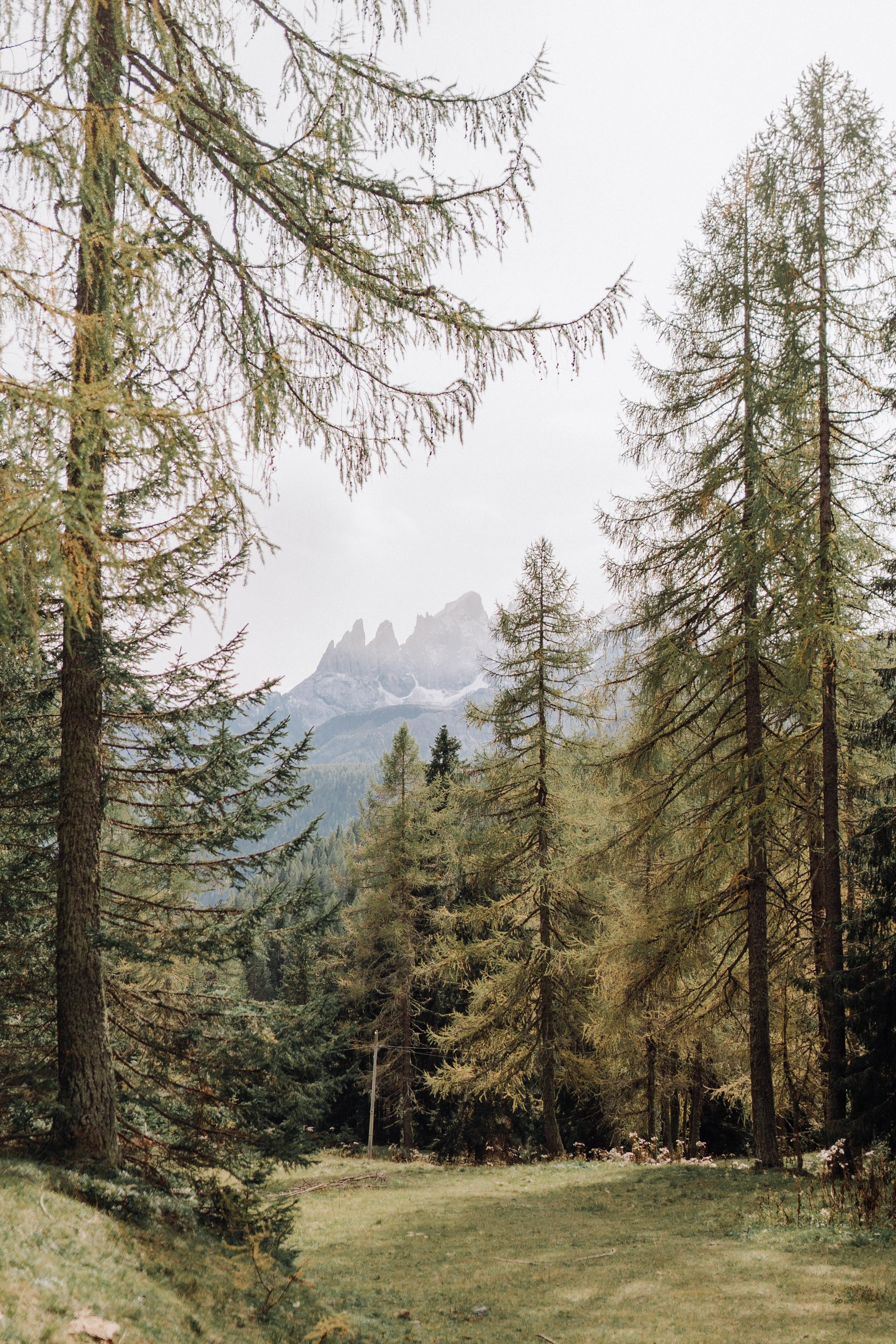Nature. Фотограф в Праге Анна Лебедева