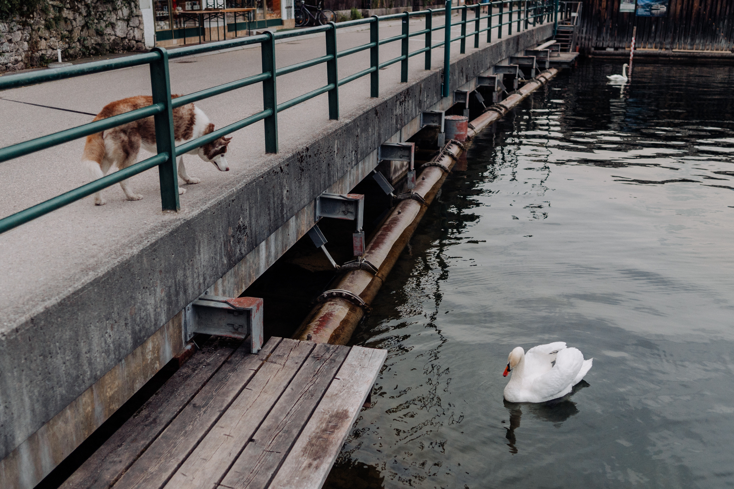 Austria. Фотограф в Праге Анна Лебедева