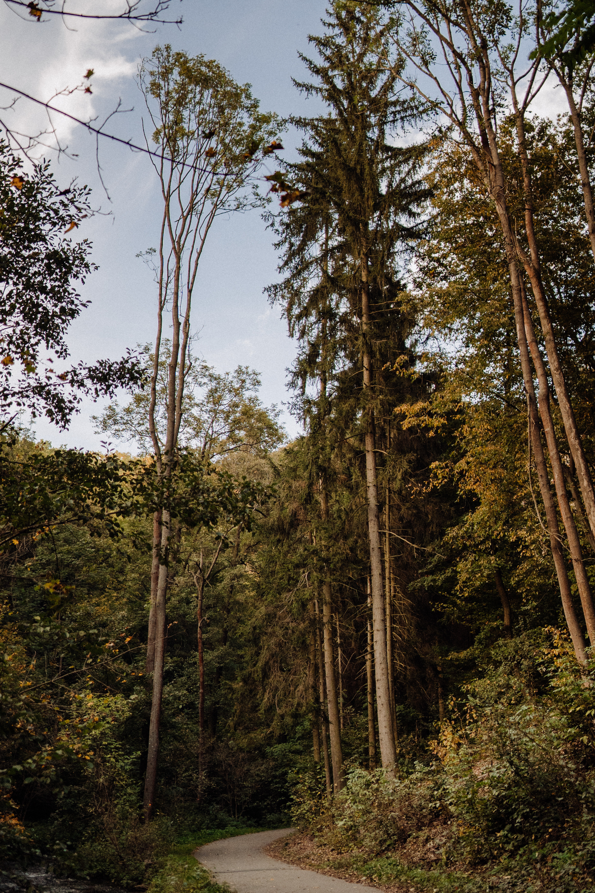 Nature. Фотограф в Праге Анна Лебедева