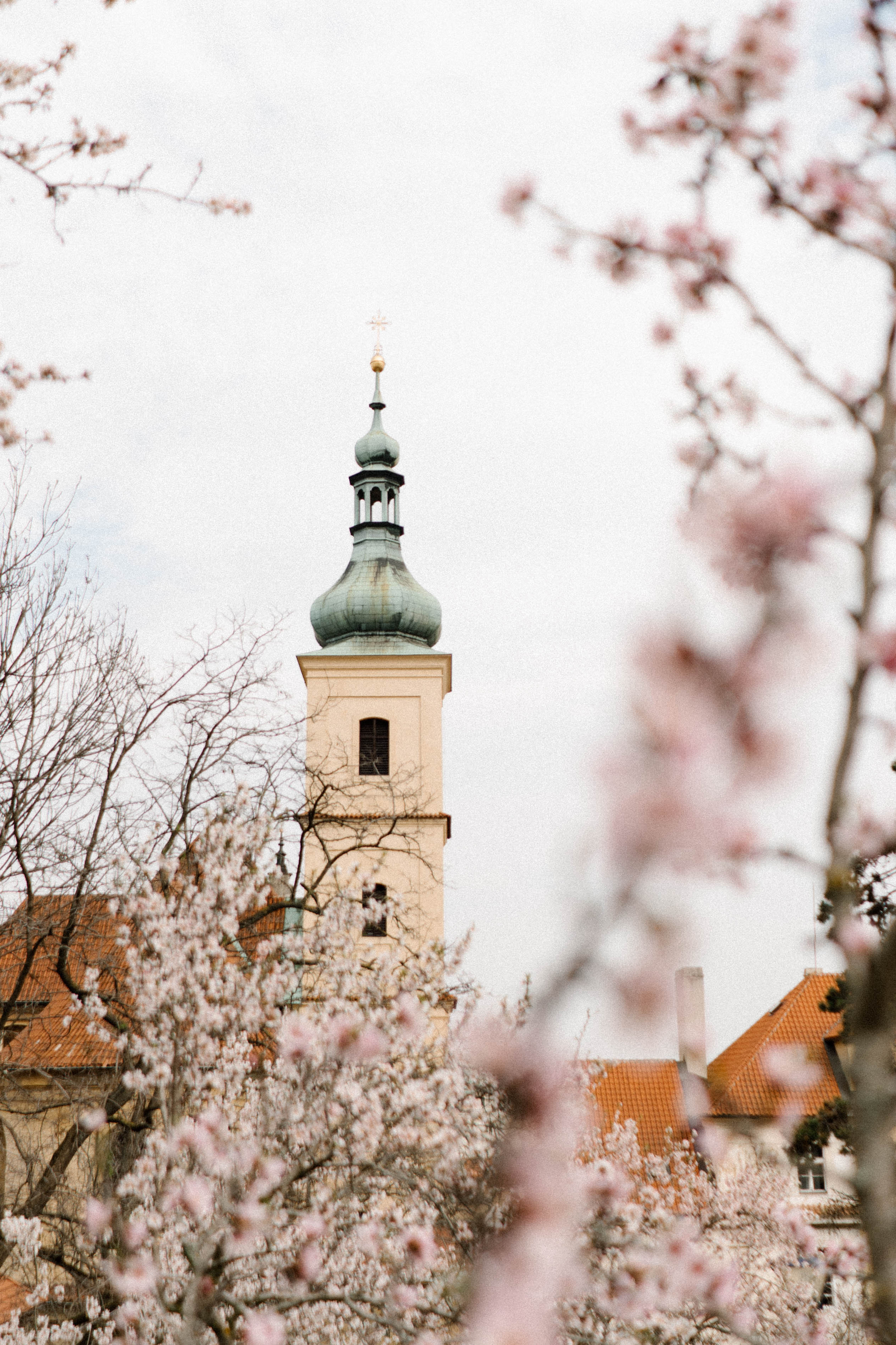 Nature. Фотограф в Праге Анна Лебедева