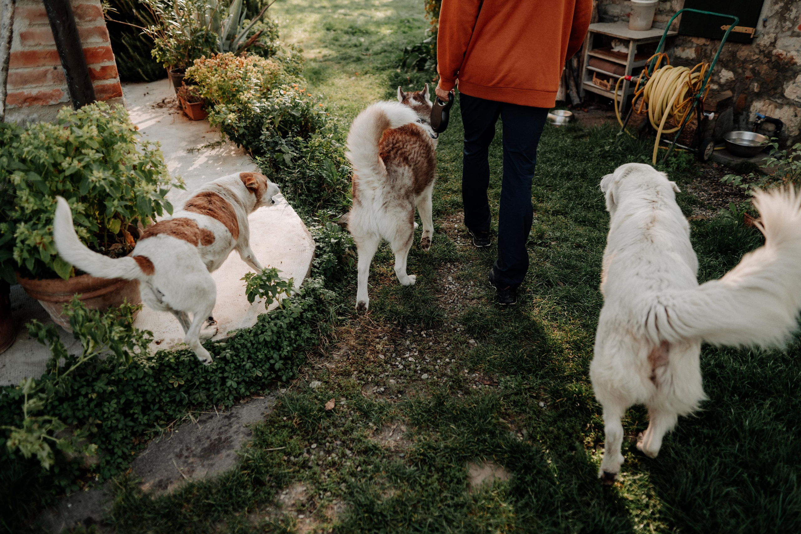 Monterenzio. Country life. Фотограф в Праге Анна Лебедева