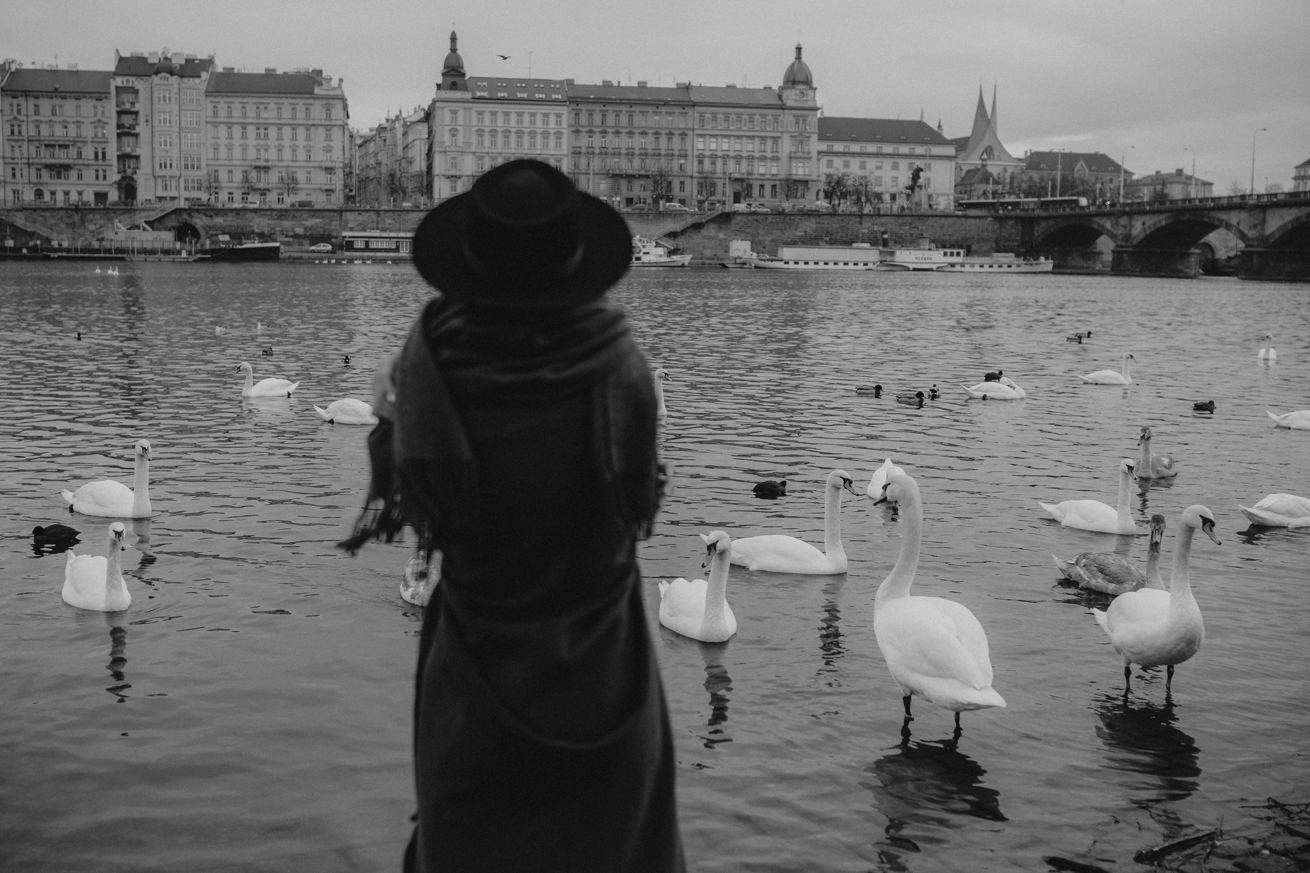 River, coat and birds. Фотограф в Праге Анна Лебедева