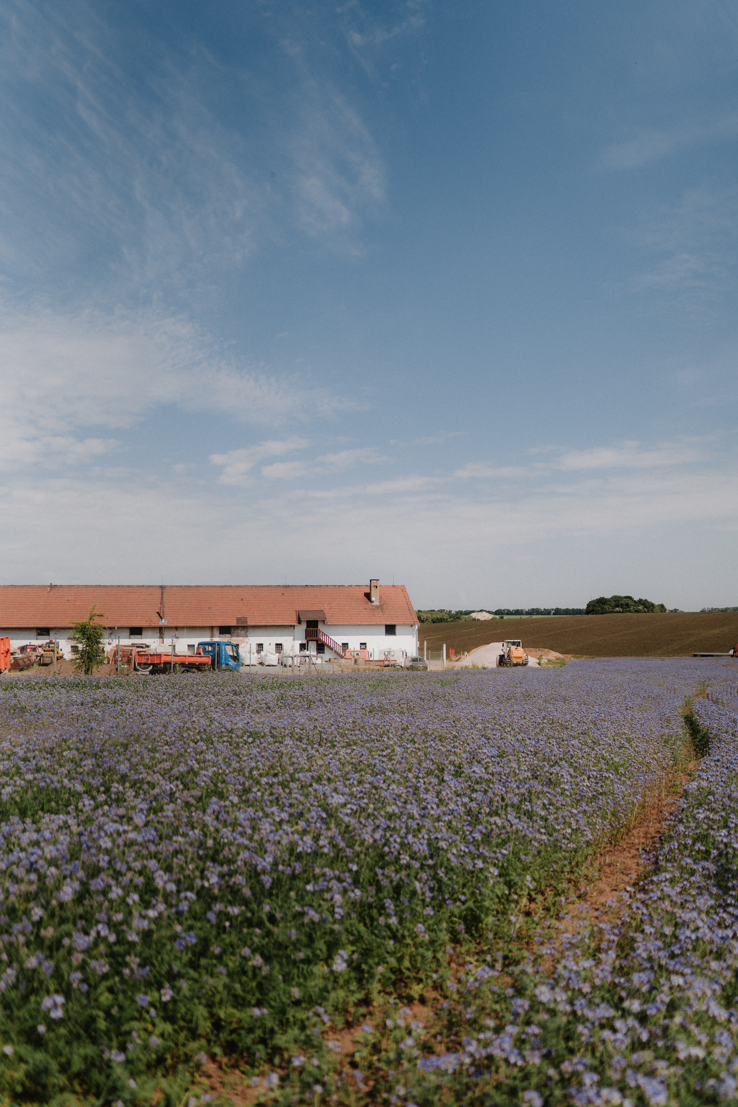 Nature. Фотограф в Праге Анна Лебедева