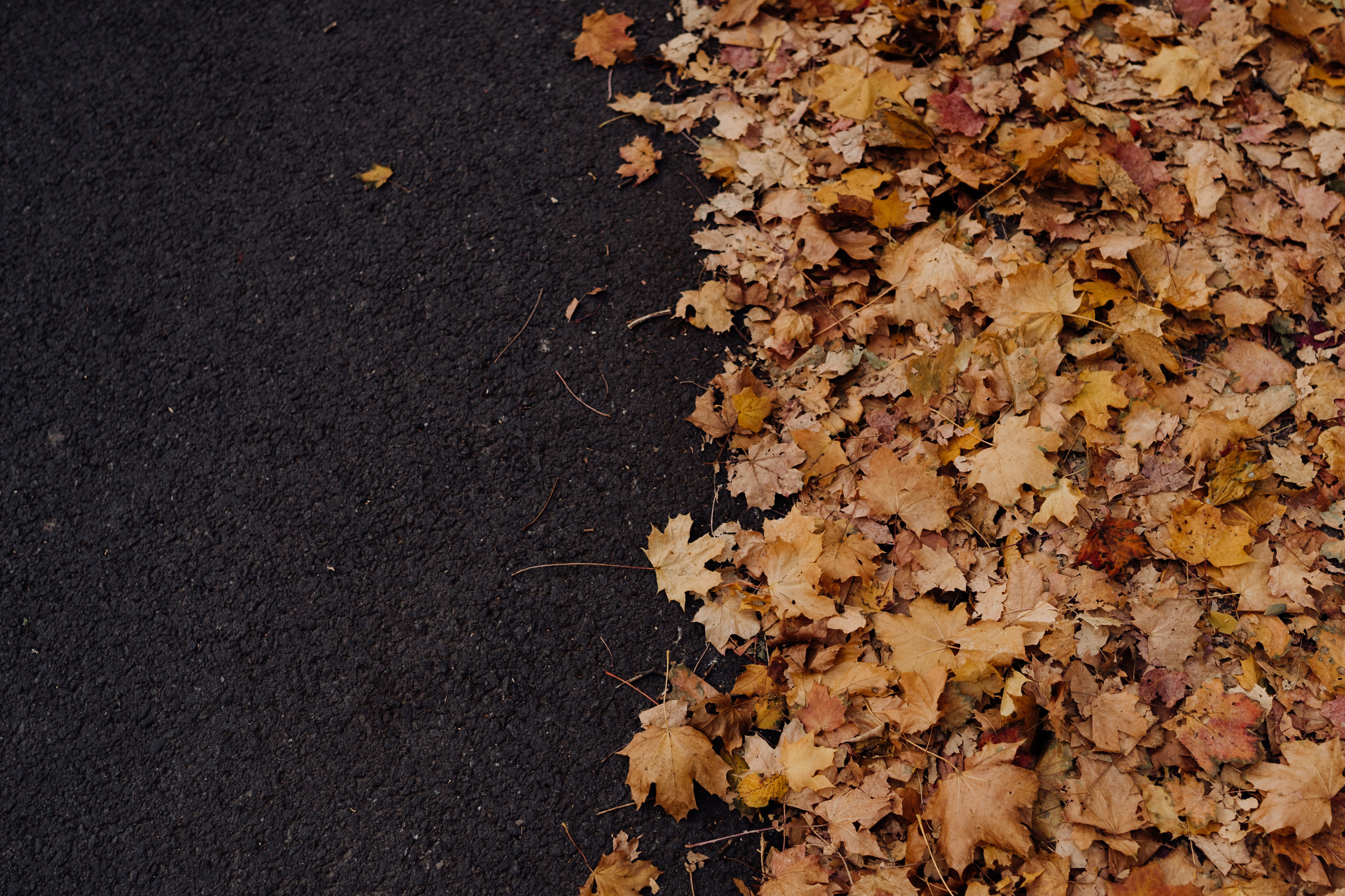 Nature. Фотограф в Праге Анна Лебедева