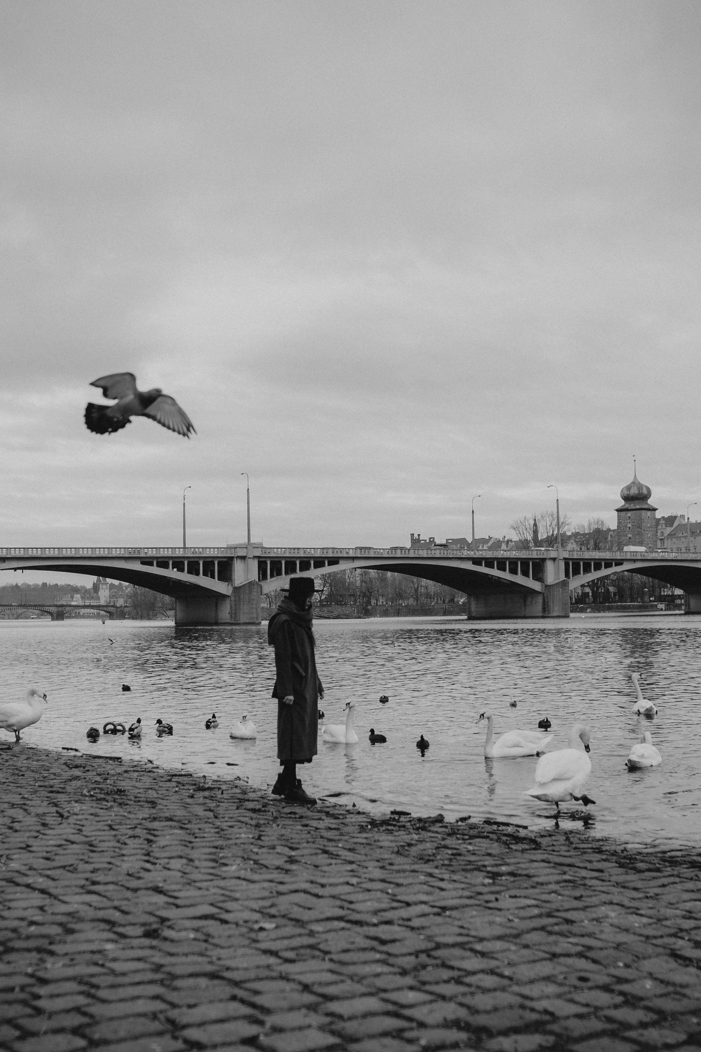 River, coat and birds. Фотограф в Праге Анна Лебедева