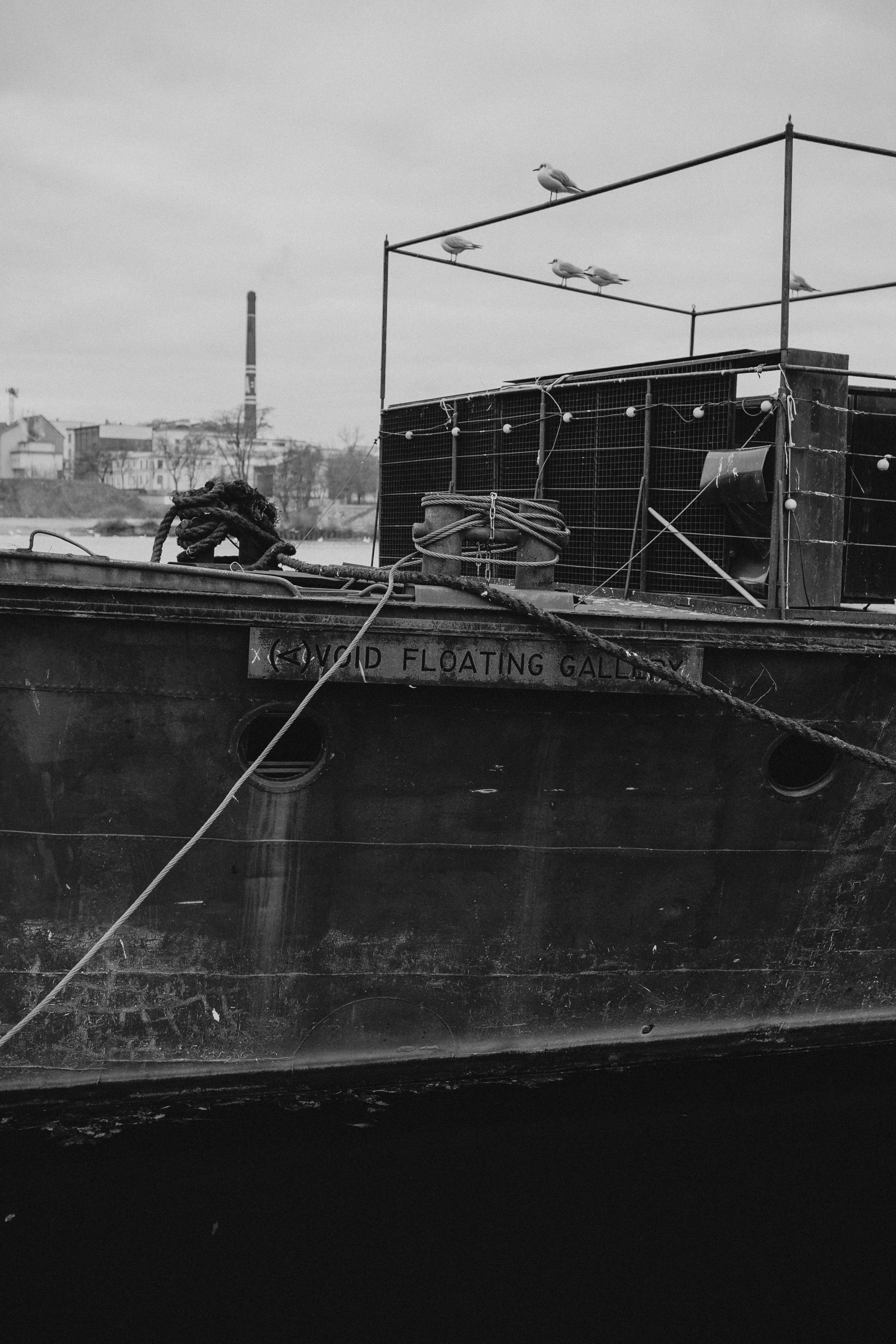 River, coat and birds. Фотограф в Праге Анна Лебедева
