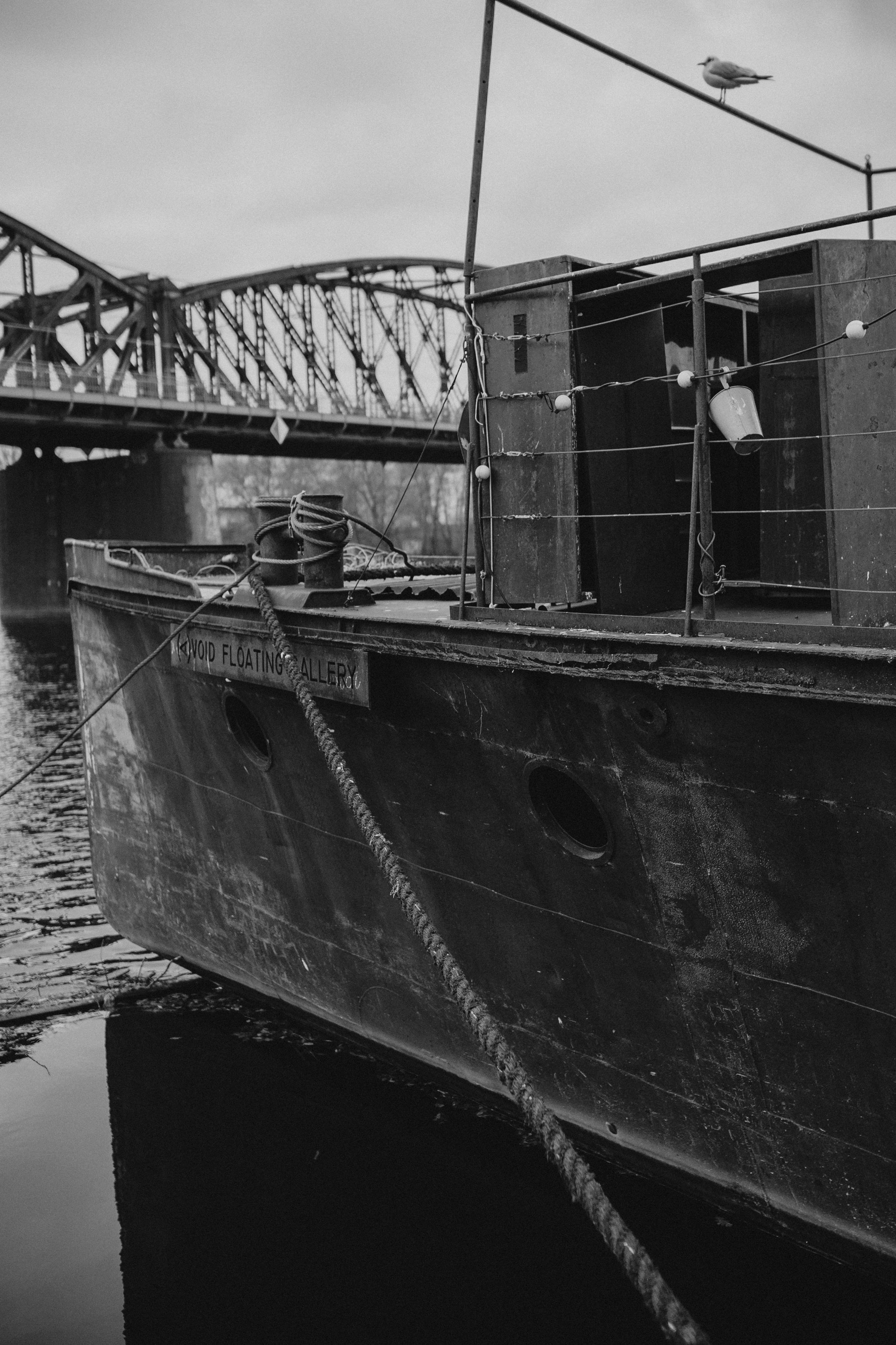 River, coat and birds. Фотограф в Праге Анна Лебедева