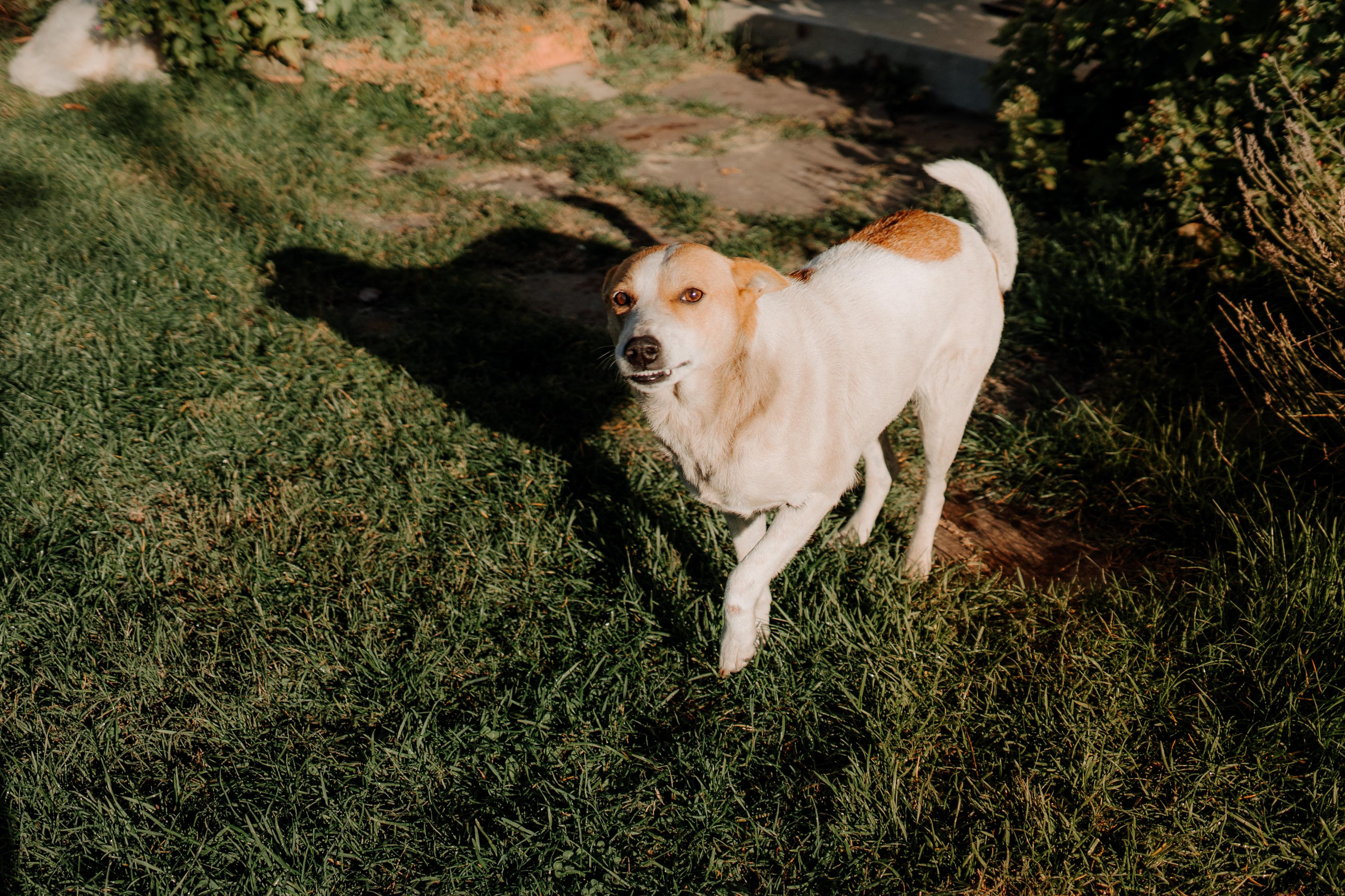 Monterenzio. Country life. Фотограф в Праге Анна Лебедева